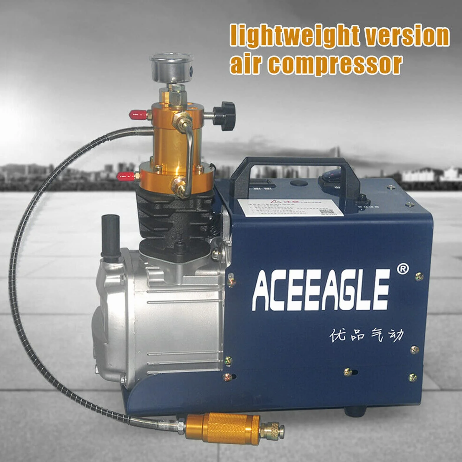 Elektryczna pompa wysokociśnieniowa 4500 PSI, wysokociśnieniowa sprężarka, pompa kompresorowa, sprężarka stopera 300 bar, wysokociśnieniowa pompa powietrza Pcp, 2800 obr./min