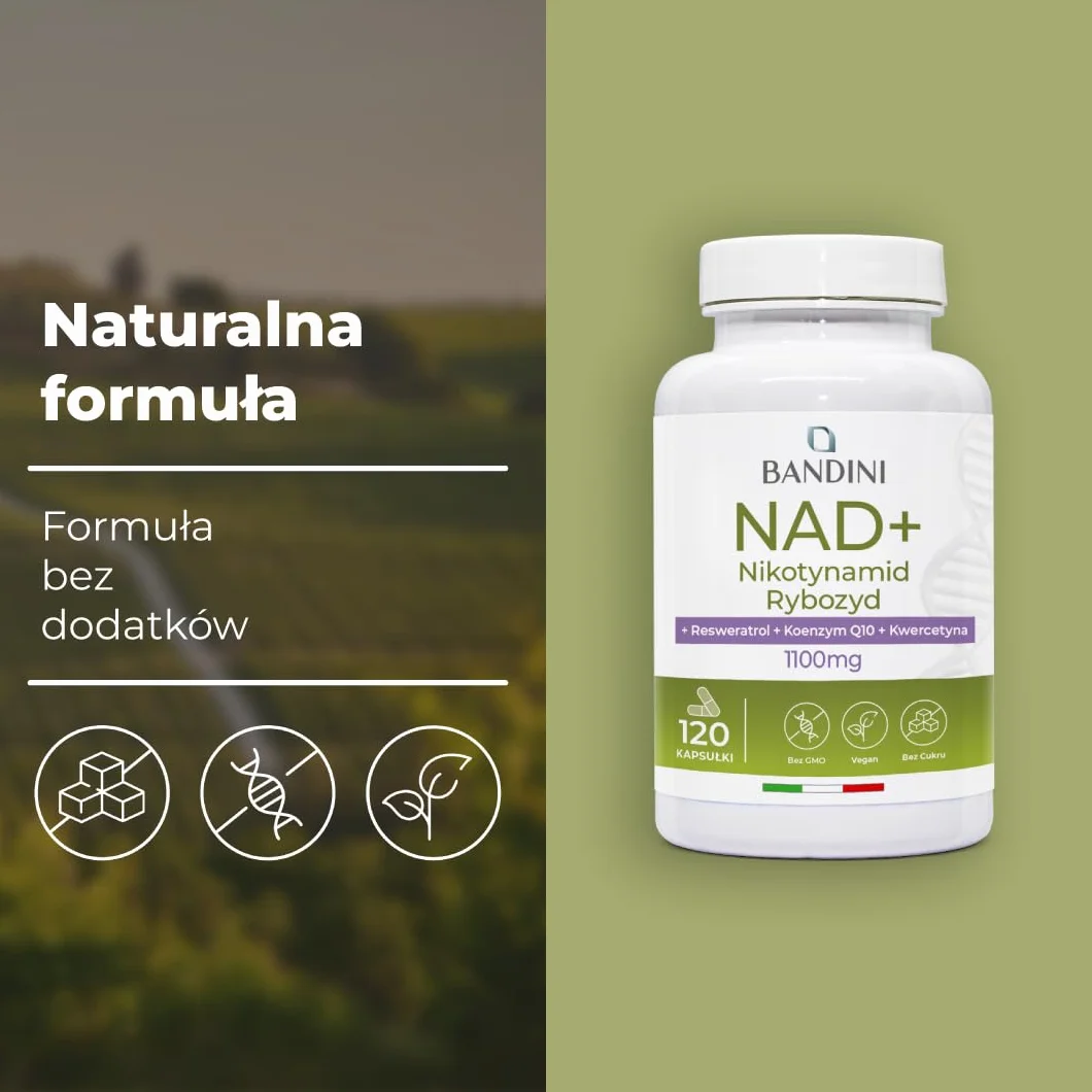 Bandini NAD+ Liposomalny 11100 mg 120 kapsułek wegańskich z kwercetyną resweratrolem koenzymem Q10
