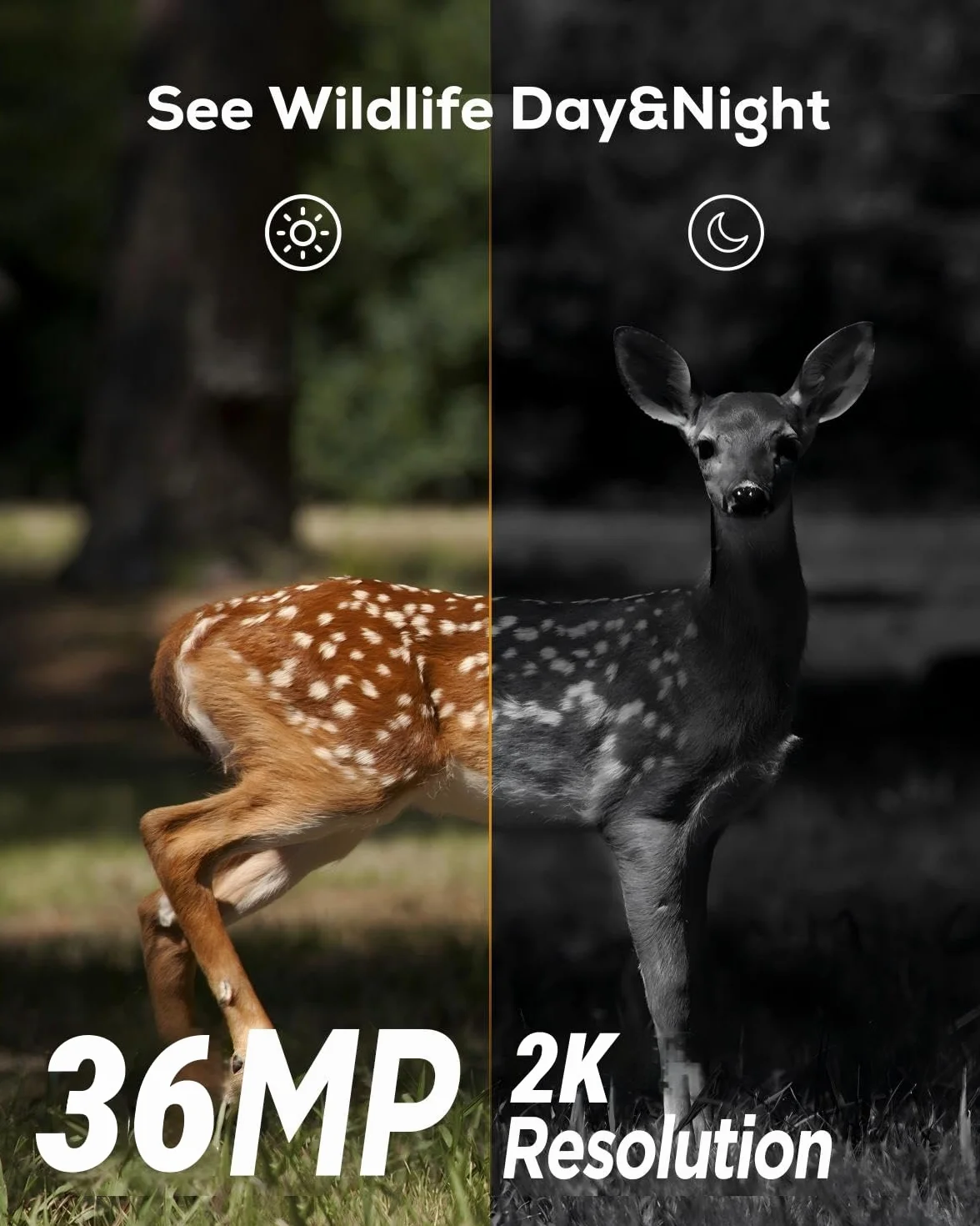 iZEEKER 32-megapikselowa kamera myśliwska HD z diodami LED na podczerwień 940 nm nieoślepiająca, noktowizyjna wodoodporna IP66, do obserwacji dzikiej przyrody i monitorowania bezpieczeństwa