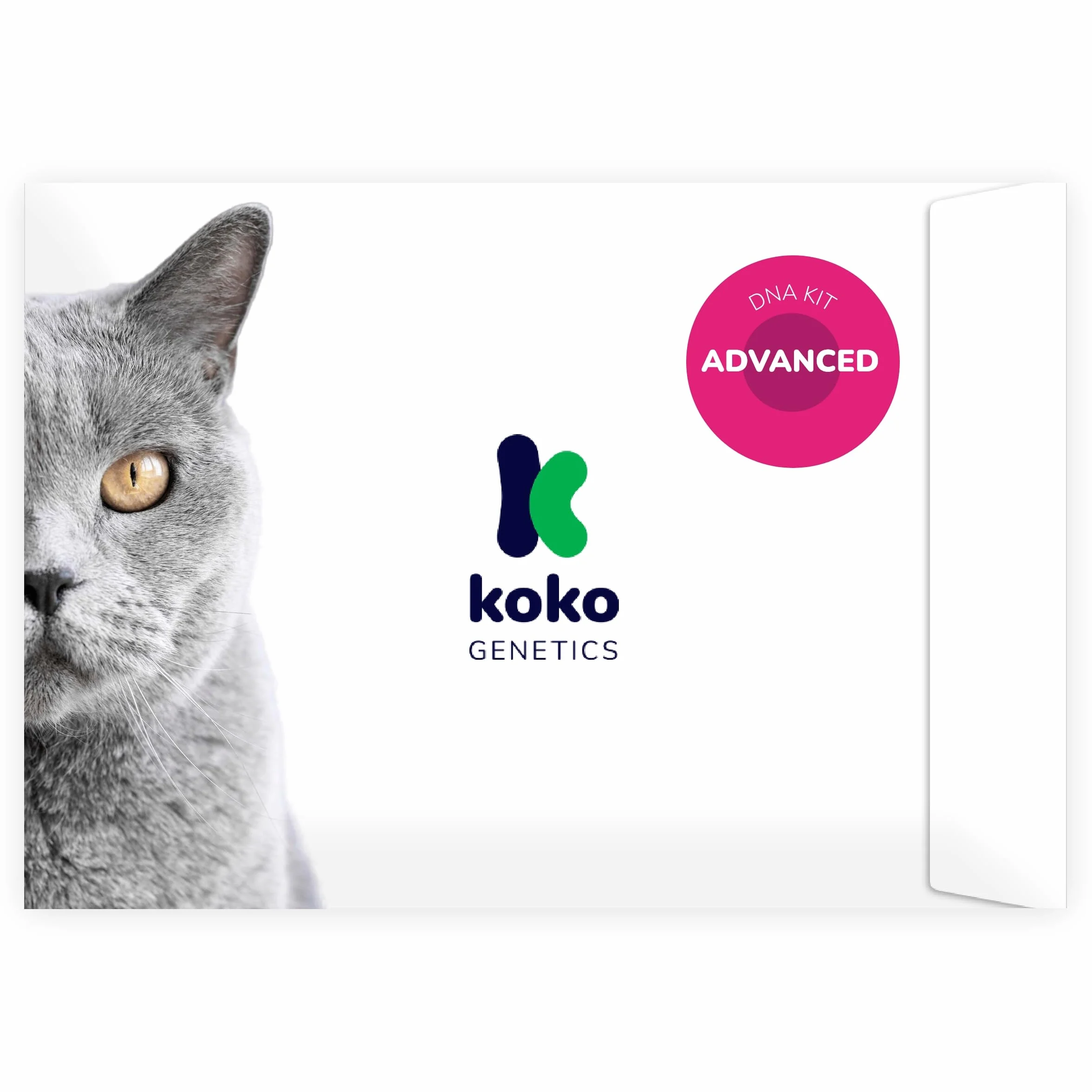 Koko Genetics Test DNA dla Kotów Advanced - (+150 Raporty Ras, Zdrowotne i Cech) - Aktualizacje bez dodatkowych kosztów