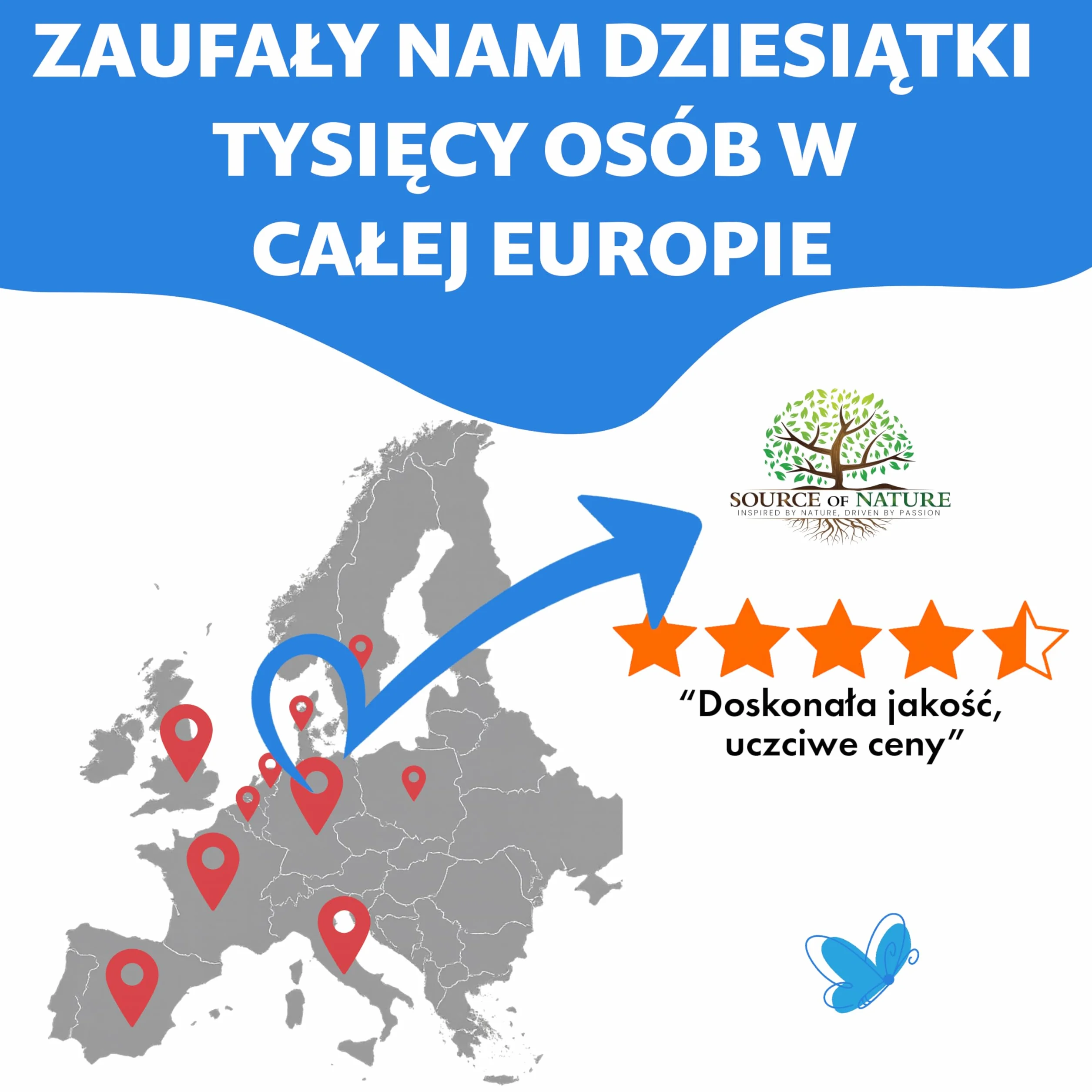L-Teanina 200 mg – 240 Kapsułek Wegetariańskich – Aminokwas o Wysokiej Mocy z Zielonej Herbaty | Zapas na 8 Miesięcy | 98% Czystości, Bez Dodatków | Wyprodukowano w Danii