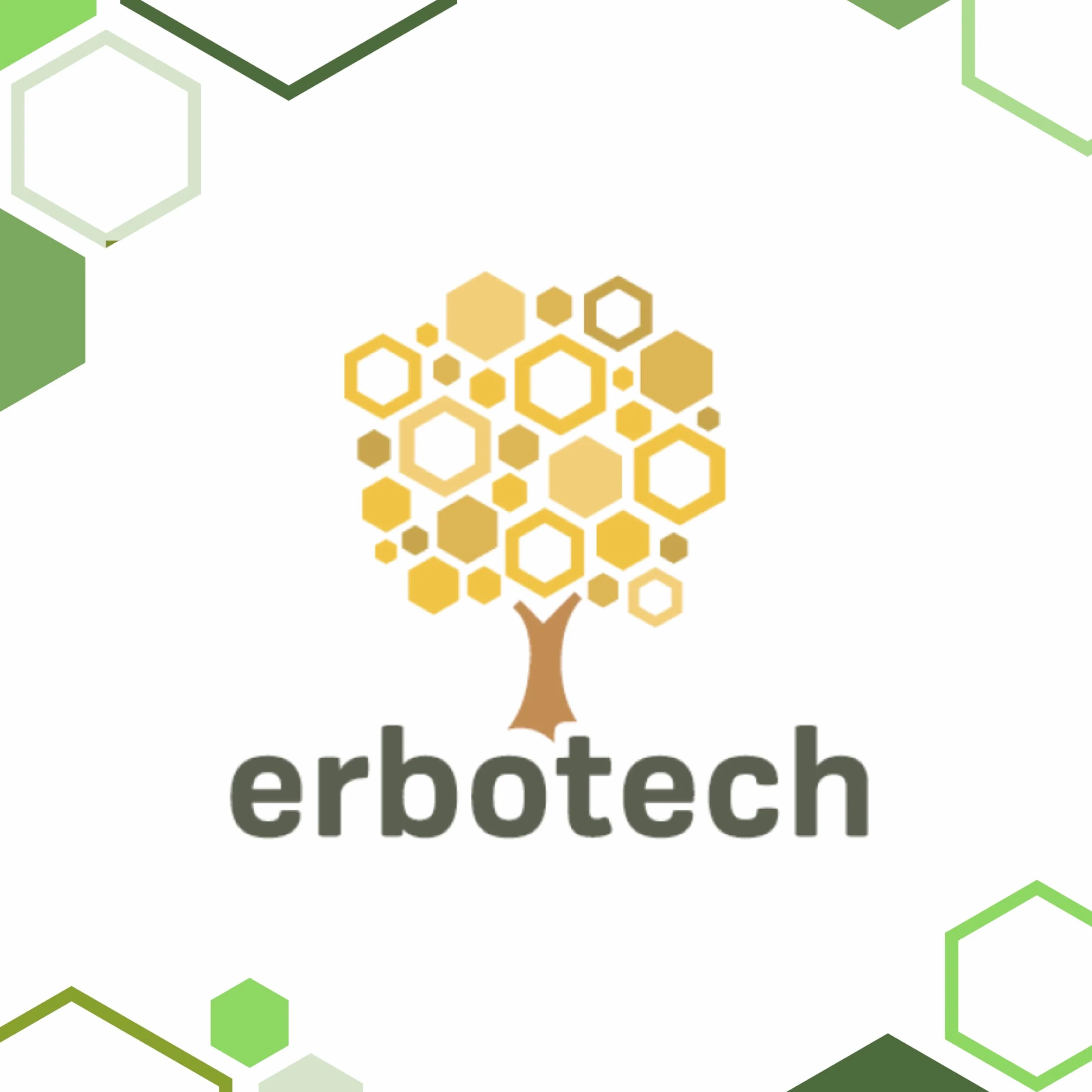 ERBOTECH Organiczne Tabletki Chlorelli 800 sztuk, Kapsułki 200g, Bezglutenowe dla Wegetarian i Wegan