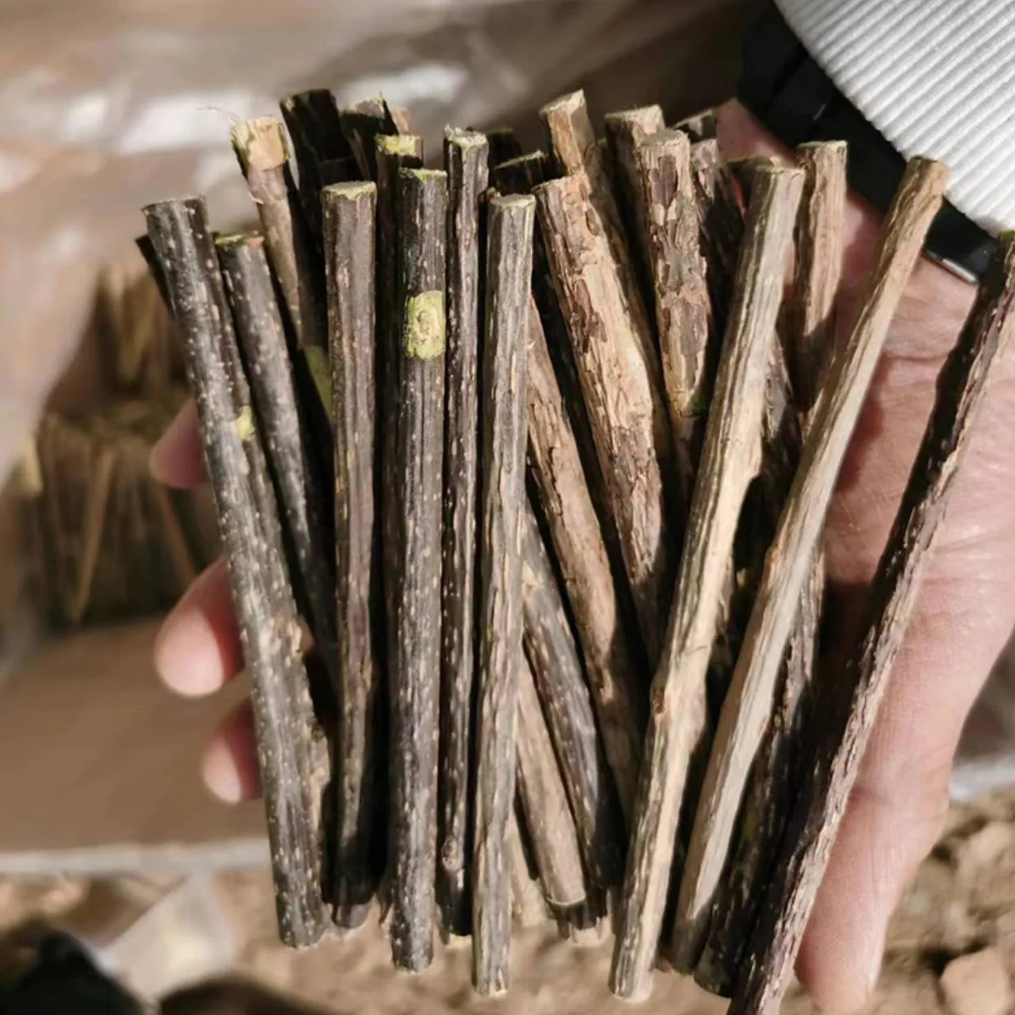 32 sztuki pałeczek do żucia dla kotów, zabawka do mycia zębów, pielęgnacja zębów i przeciw nieświeżemu oddechowi, naturalne, bezpieczne, zestaw pałeczek do żucia