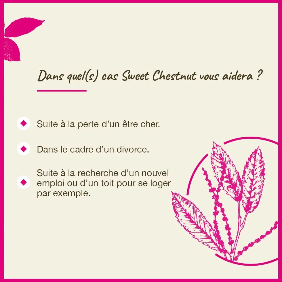 Fleurs de Bach Original N°30 Sweet Chestnut 20 ml