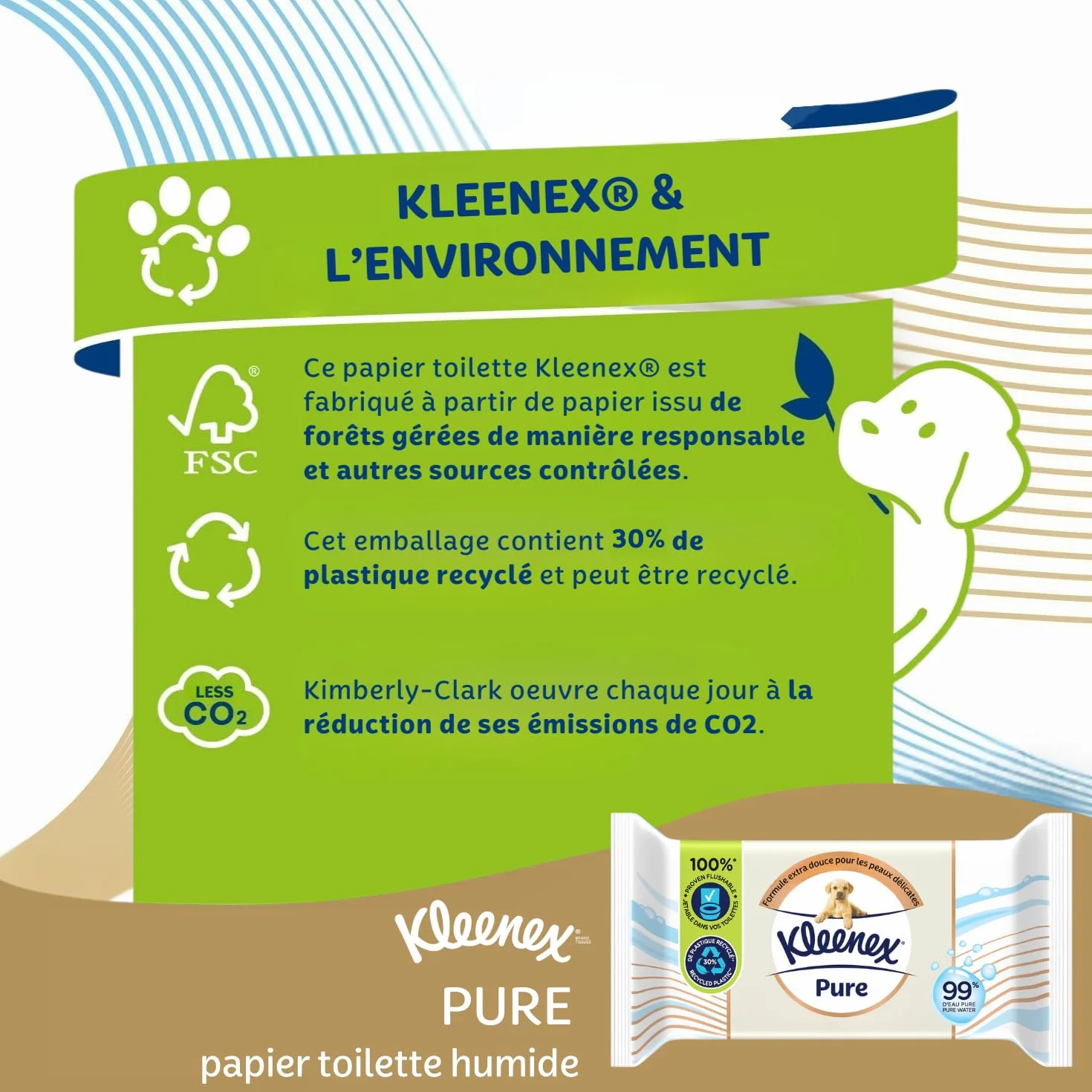 KLEENEX Czysty - Mokry papier toaletowy (12 opakowań po 38 arkuszy), podwójna grubość, jednorazowy w toalecie, bez plastiku, bez zapachu, bez alkoholu, opakowanie nadające się do recyklingu