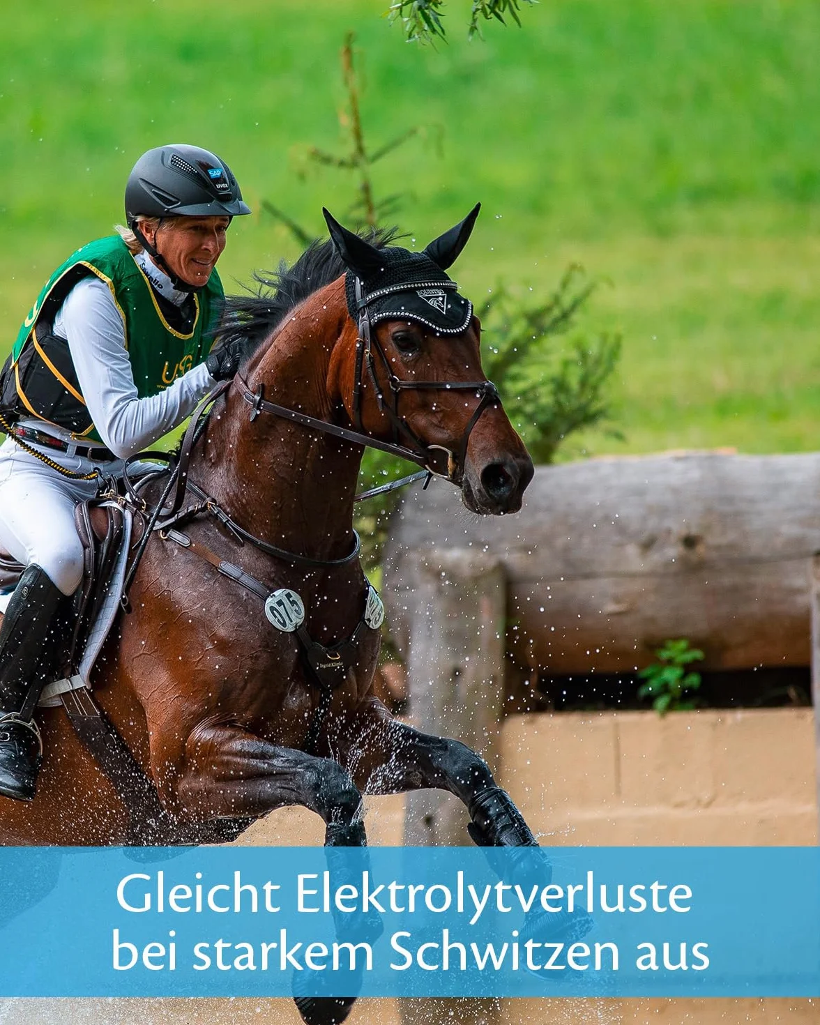 Vetoquinol Equistro Elytaan Płynna dieta uzupełniająca karma dla koni 1,27 kg