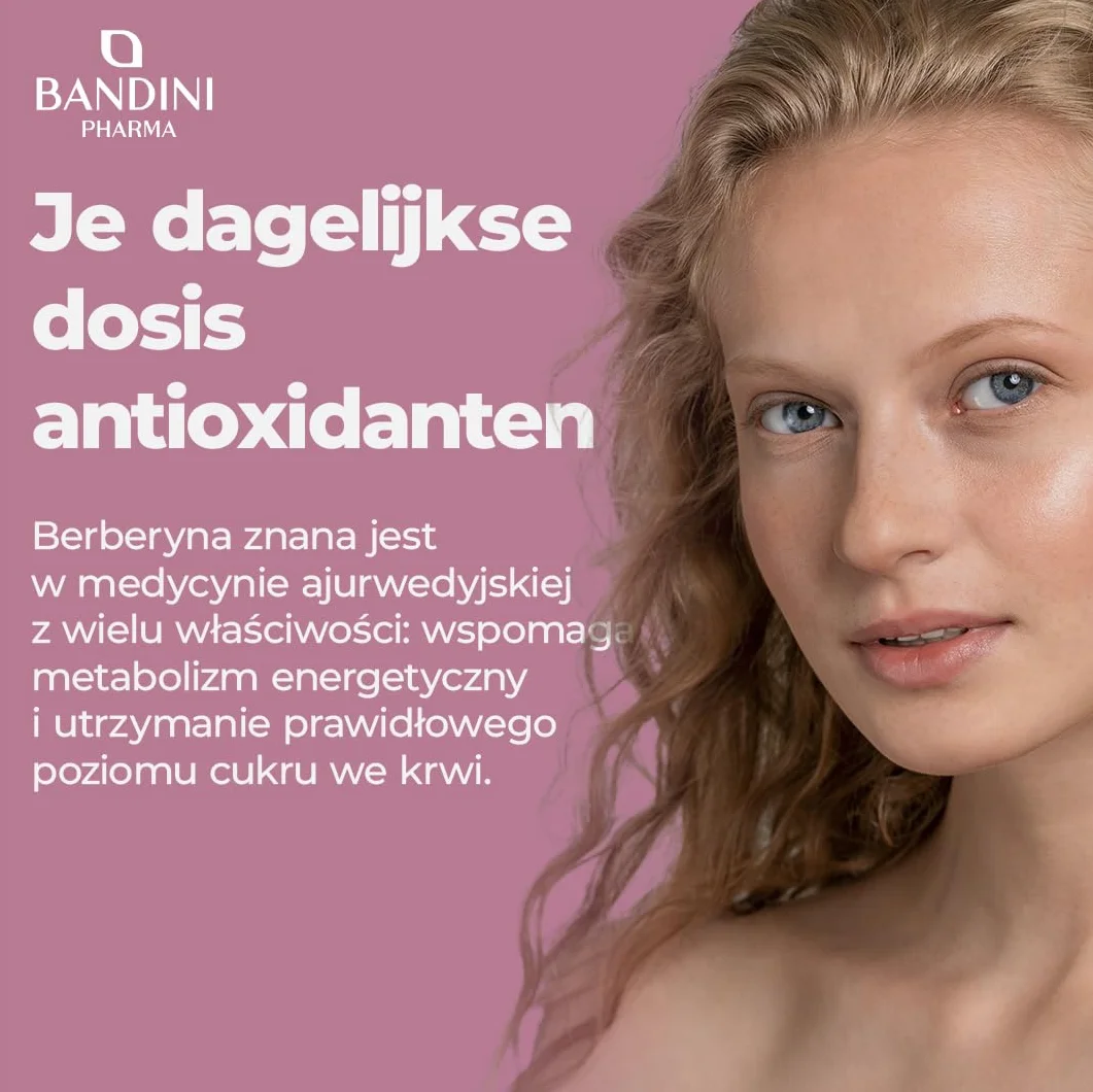 Bandini® Berberine 1000mg czysta wysoka dawka | 60 wegańskich kapsułek - Czysta Berberyna HCl z Berberis Aristata 97% + Chrom i Czarny Pieprz | Maksymalne wchłanianie - Trawienie, funkcja wątroby