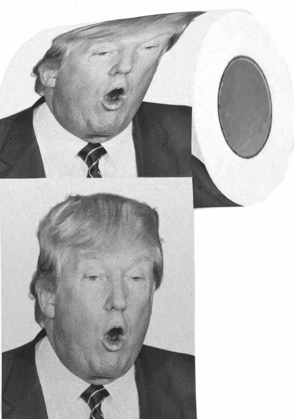 Papier toaletowy papier toaletowy nowość pudełko prezentowe (Trump)