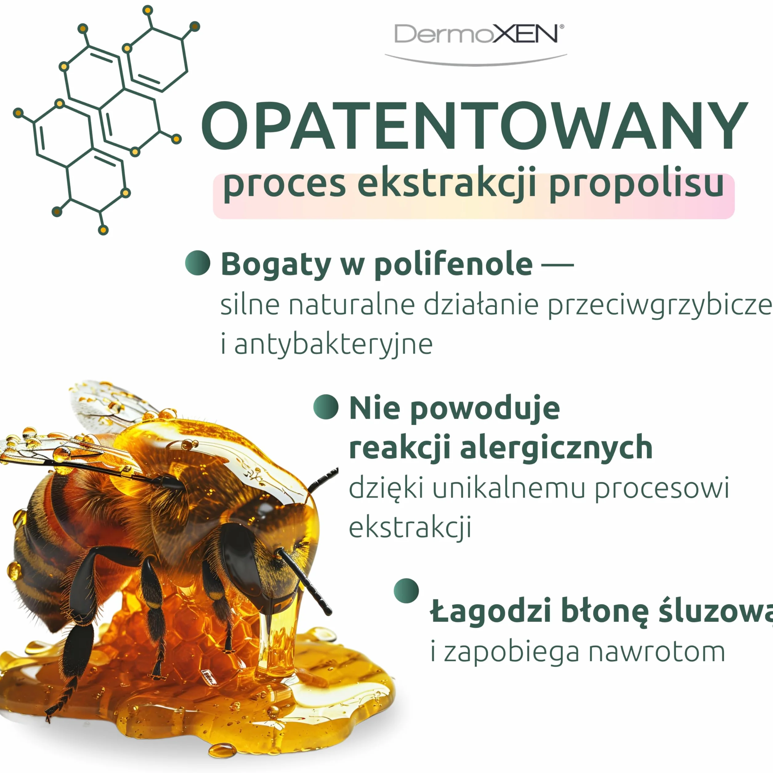 DERMOXEN Bactor środek dezynfekujący i grzybobójczy 7 sztuk