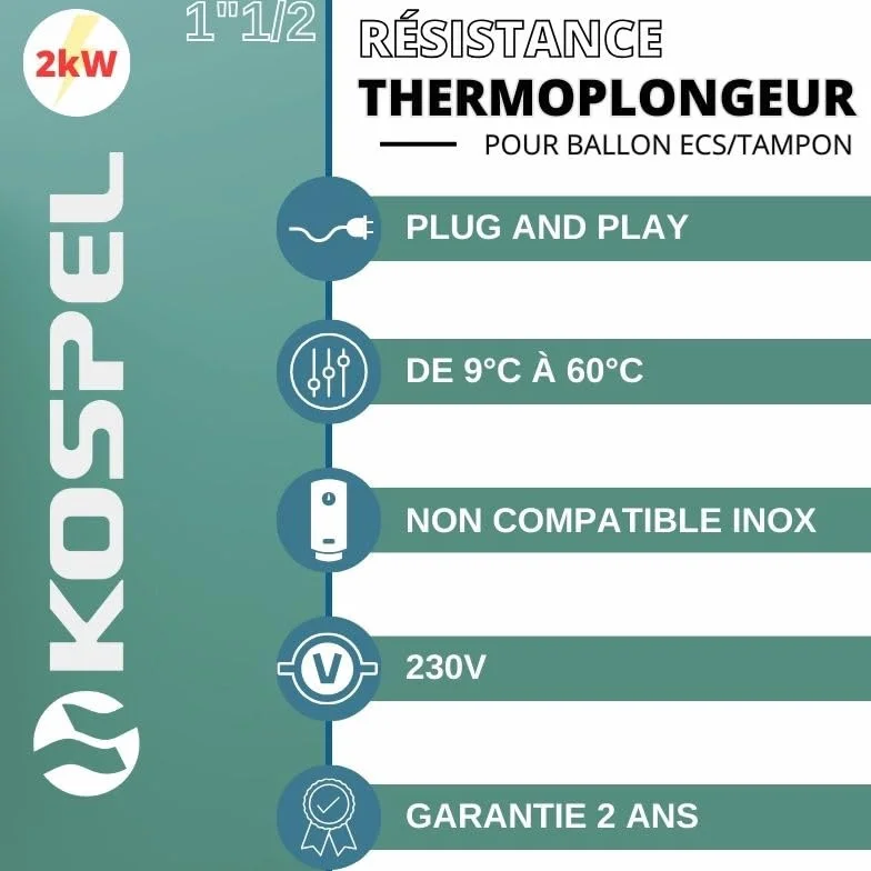 Opór elektryczny z termostatem 2 kW - 230V
