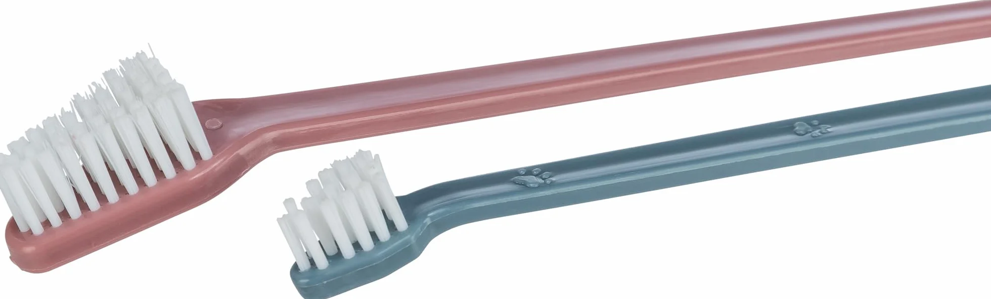 Trixie 4011905025582 Szczoteczka do Zębów dla Psa, 4 Sztuki, Różowy/Biały
