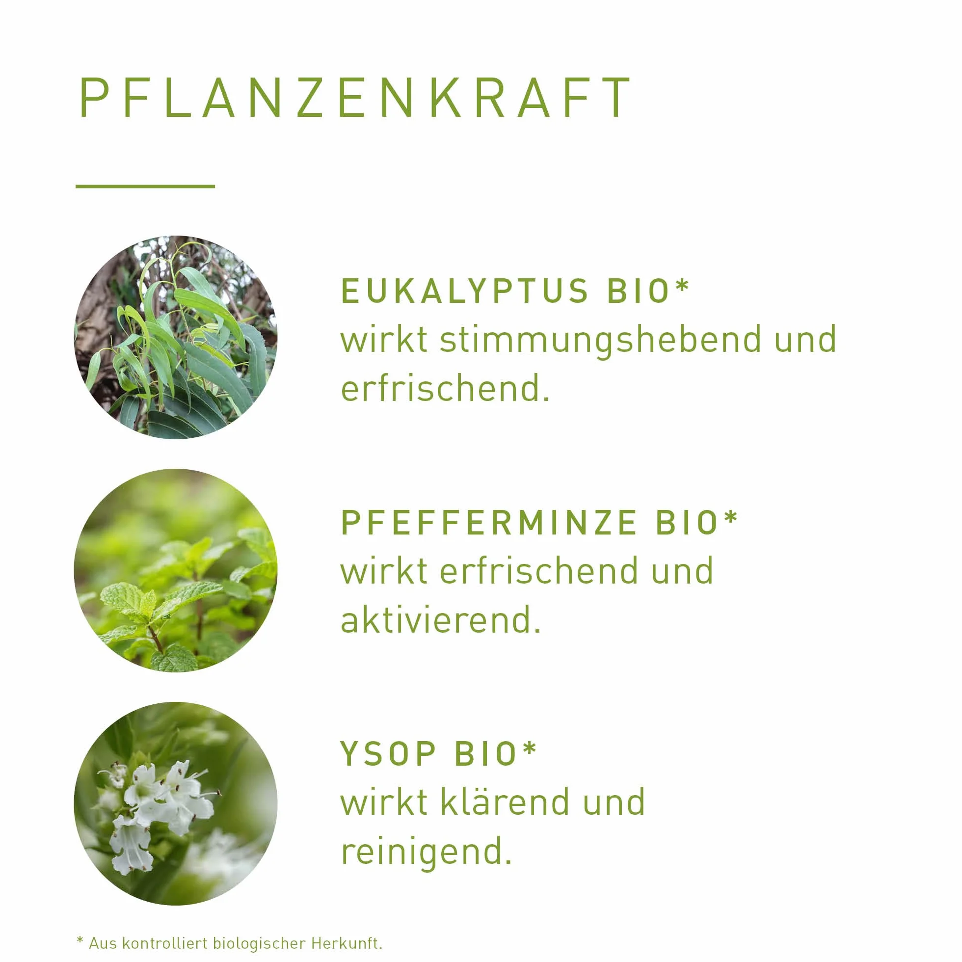 PRIMAVERA Aroma Sauna bio 100 ml – olejek do sauny, aromaterapia – jasno-miętowy zapach – odświeżający – wegański