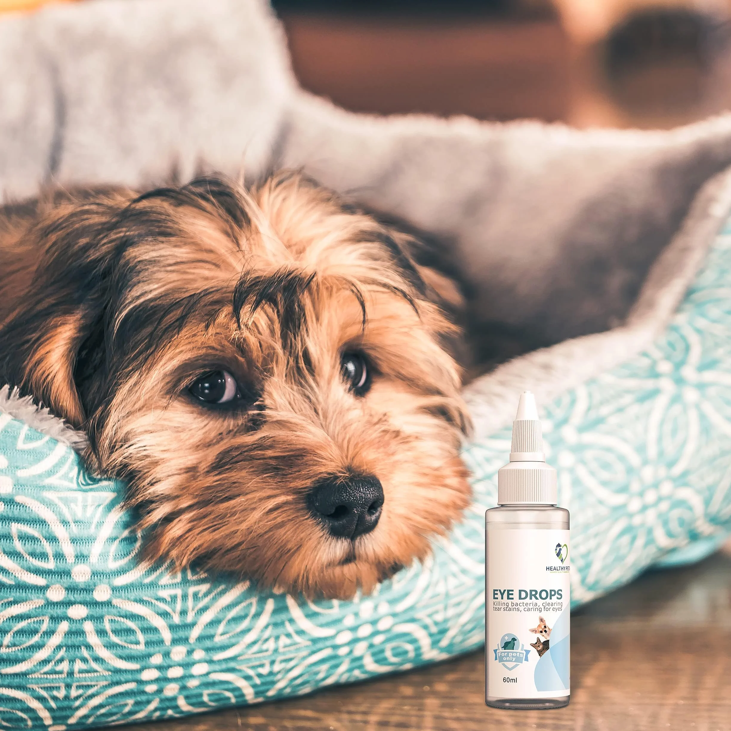 Healthy Pets Gunky Eye Relief Antybiotykowa maść do oczu dla psów i kotów 60ml