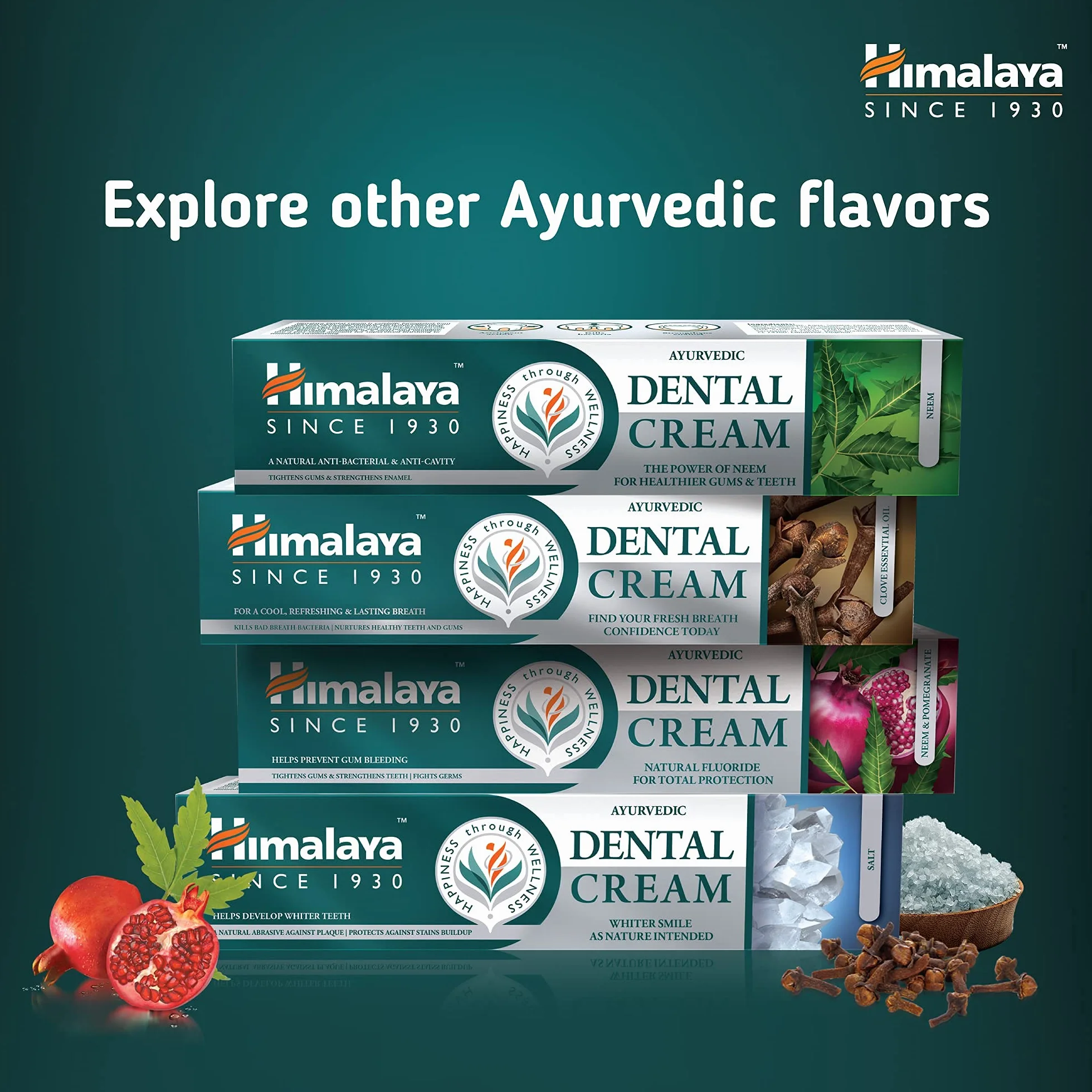 Himalaya Dental Cream Ajurwedyjska Pasta do Zębów z Olejkiem z Goździków, Zapobiega Nieświeżemu Oddechowi, Sprawia, że Zęby i Dziąsła są Zdrowe, Wegańska Pasta Do Zębów Bez Fluoru, 100g