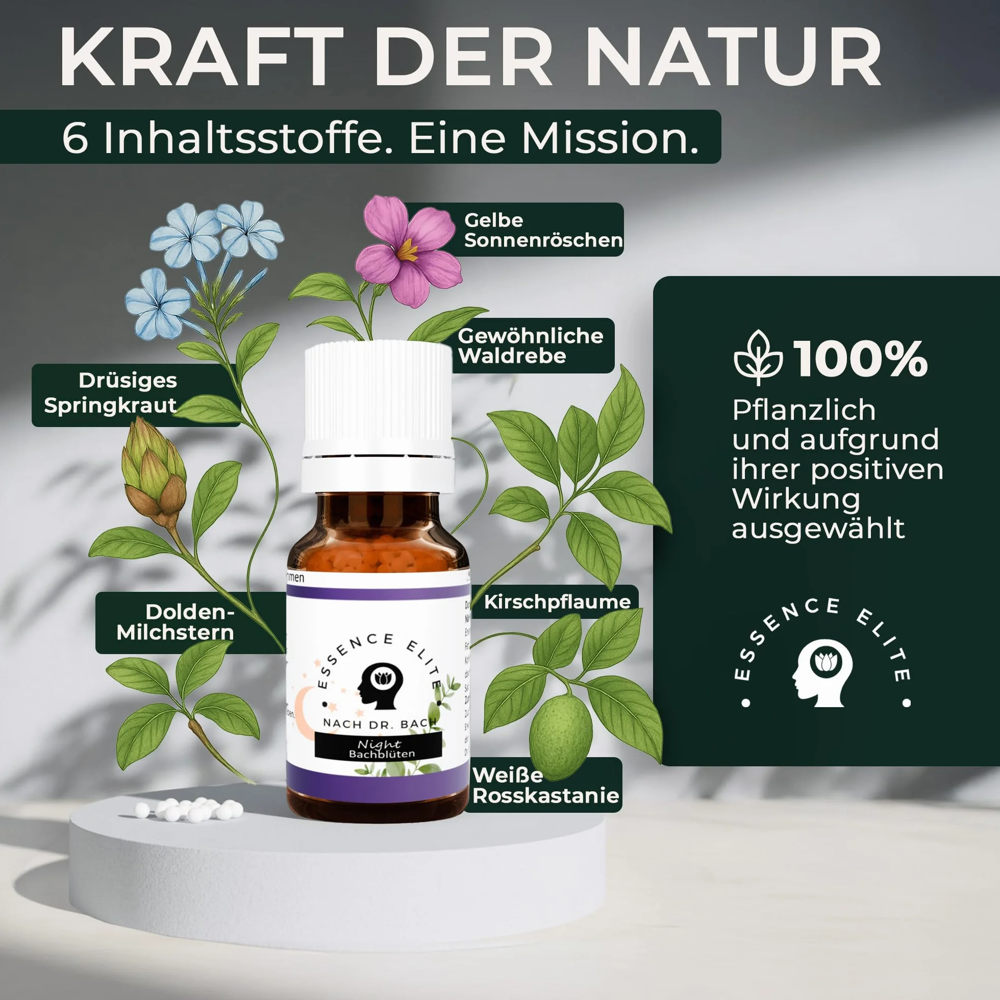 Bach Night Globuli 10 g – naturalne wsparcie podczas zasypiania