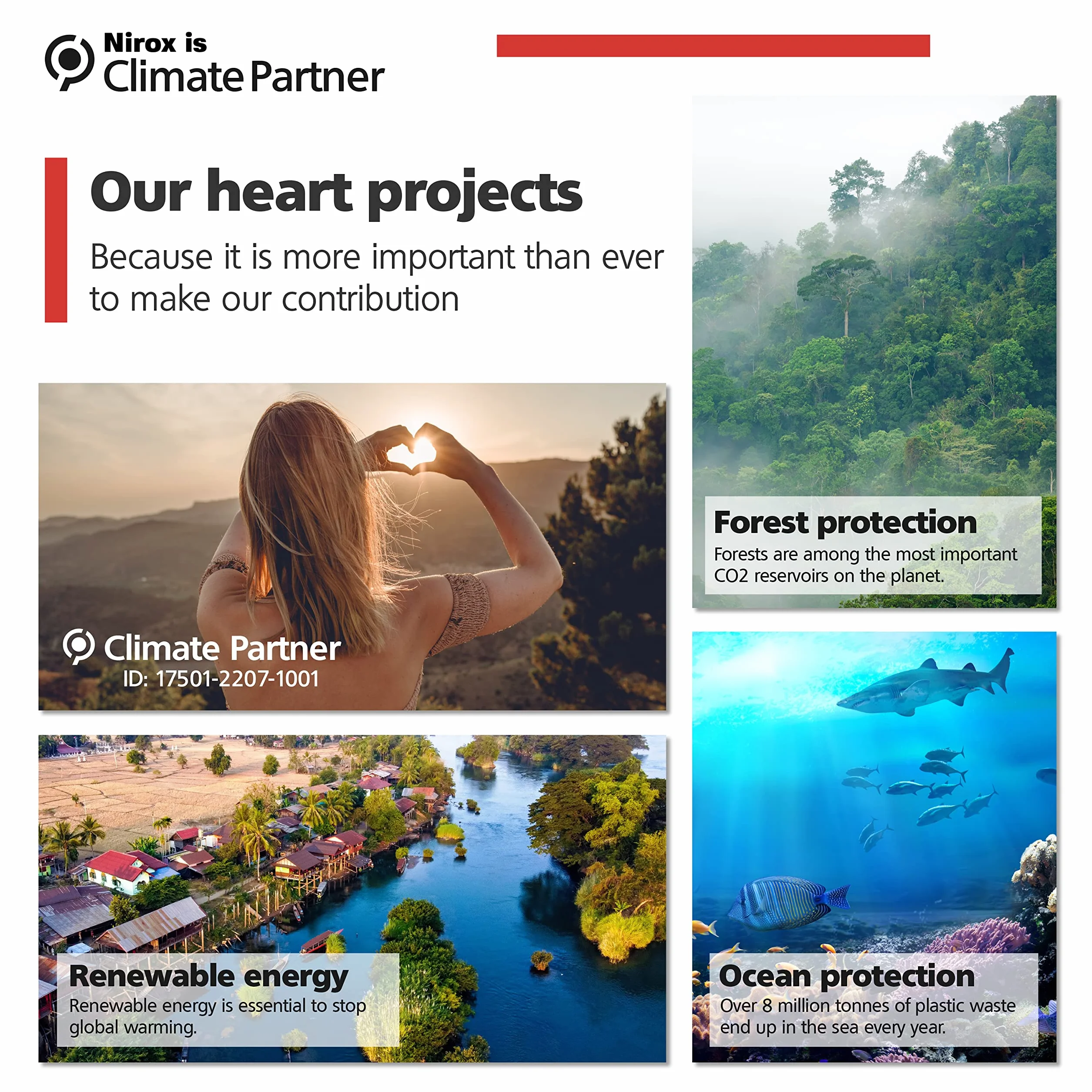 Nirox Zestaw 2 dzwonków ssących – przepychacz o średnicy 110 i 140 mm – przepychacz o dużej mocy ssania – ubijak do odpływu z drewnianymi uchwytami – środek do czyszczenia dzióbek bez chemii