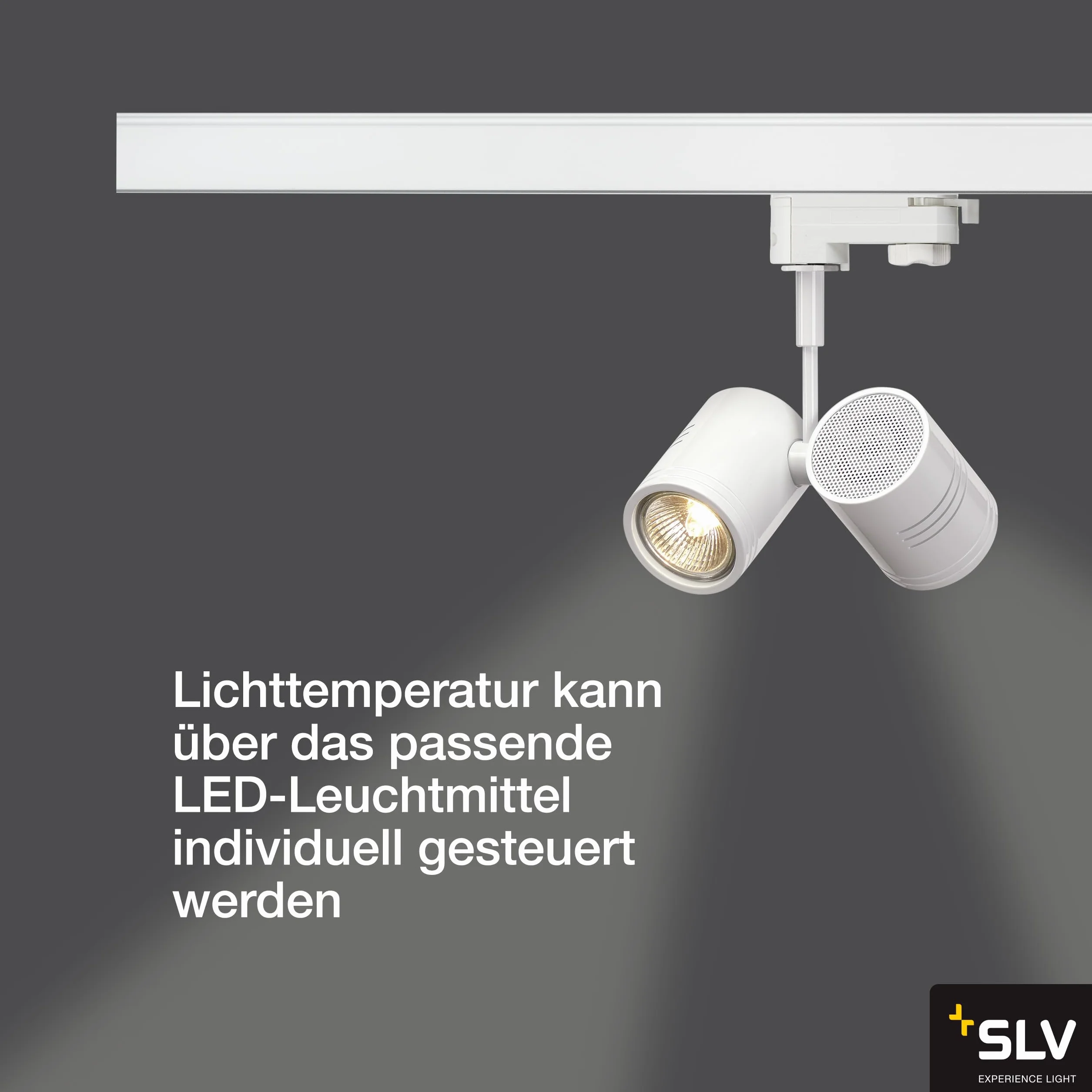 SLV Bima II głowica świetlna, 2 x GU10, wraz z adapterem 3-pinowym, maksymalnie 50 W, matowa biel 152231