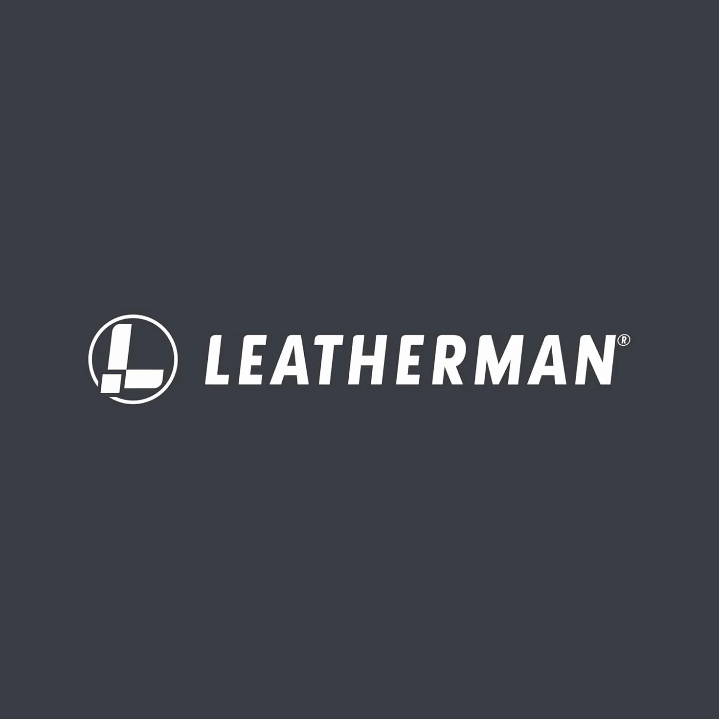 Leatherman Micra - Stalowe Narzędzie Wielofunkcyjne do Kluczy z Nożyczkami i 9 Narzędziami Spruce