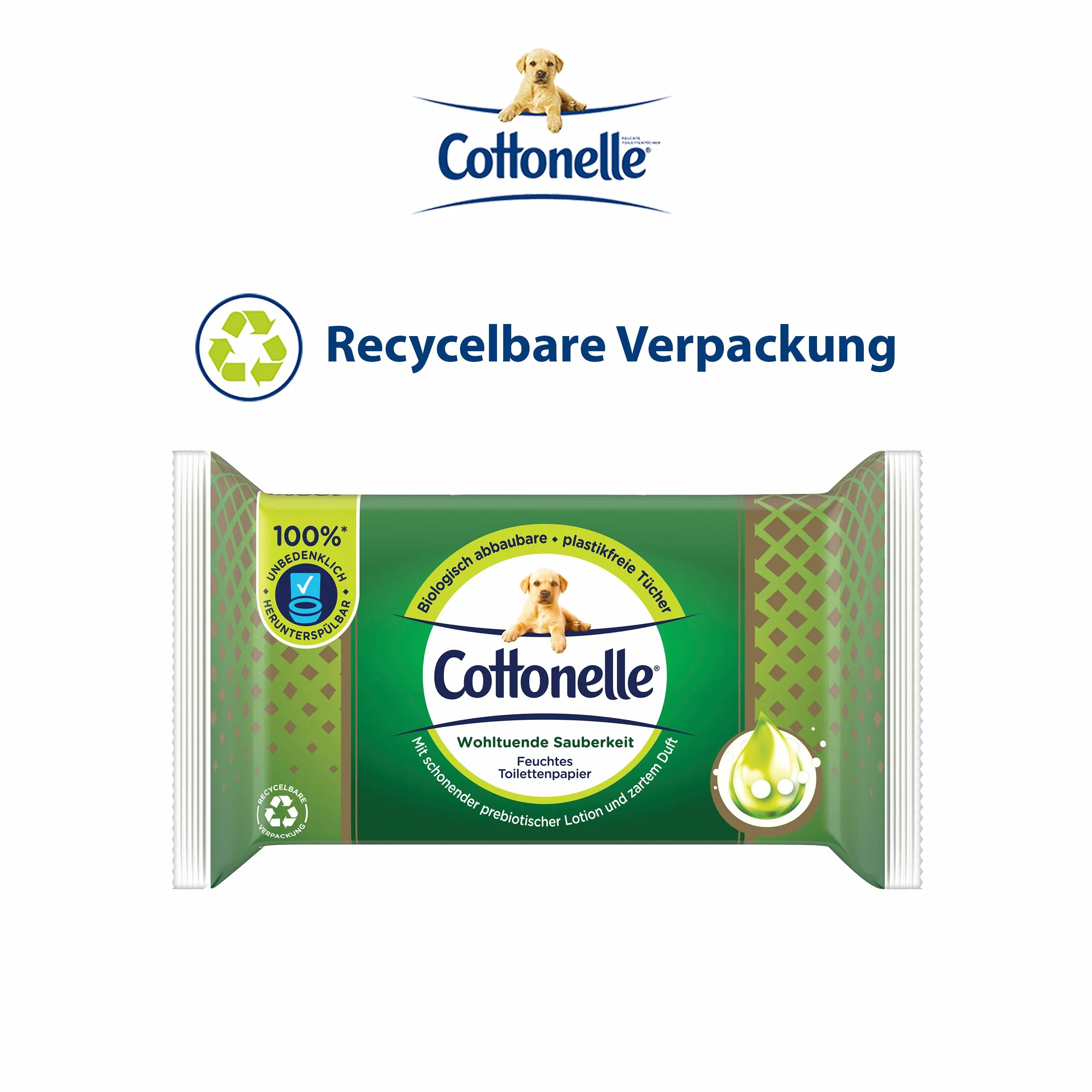 Cottonelle Wilgotny papier toaletowy, kojąca czystość, z balsamem prebiotycznym, biodegradowalny, bez plastiku, wielokrotnego zamykania, pojedyncze opakowanie, 38 chusteczek nawilżanych, 38 sztuk (1