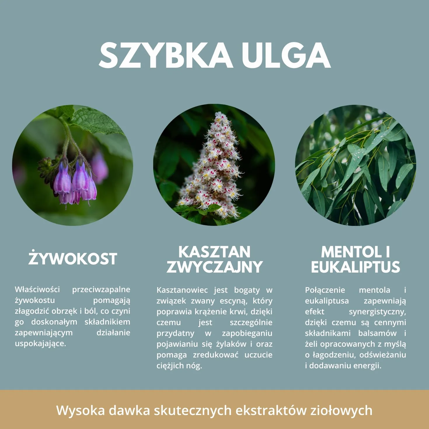 Refit Maść Końska 230 ml - Extra Maść Przeciwbólowa- zrównoważona kombinacja ziół - Kasztanowiec - dla pleców, mięśni i stawów - wspomaga krążenie i regeneracje