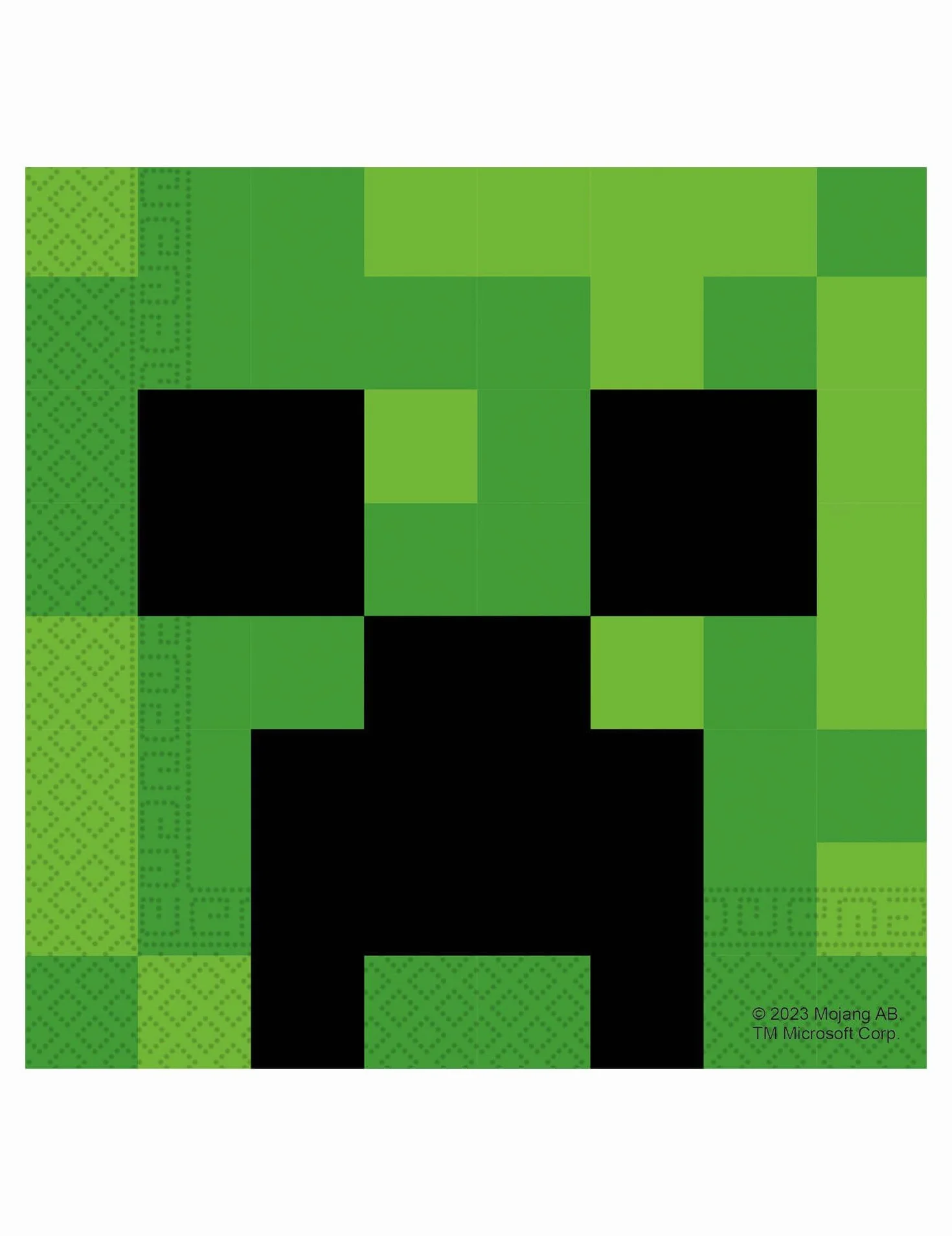 Minecraft Party 20 serwetek