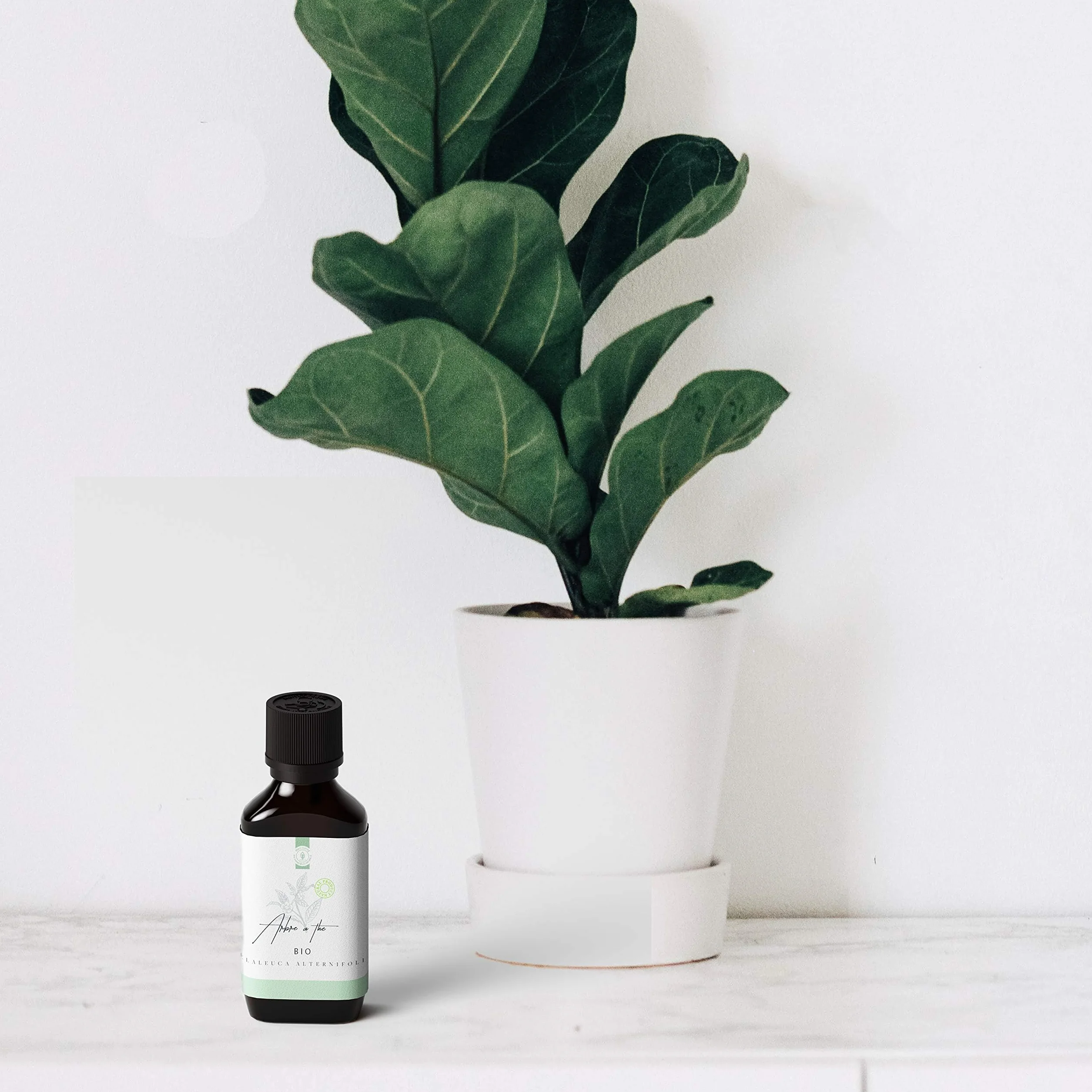 50ml Bio Olejek z Drzewa Herbacianego (Tea Tree/Melaleuca alternifolia) - 100% Czysty, Naturalny i Organiczny - Olejek Eteryczny z Drzewa Herbacianego Wspomaga Skórę z Niedoskonałościami Pryszcze
