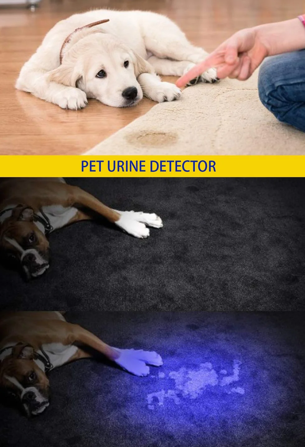 DARKBEAM Latarka UV 365nm 395nm Akumulatorowa Wood's Lamp Blacklight Mini LED Detektor Moczu Zwierząt Bursztyn Żywica 1 Szt