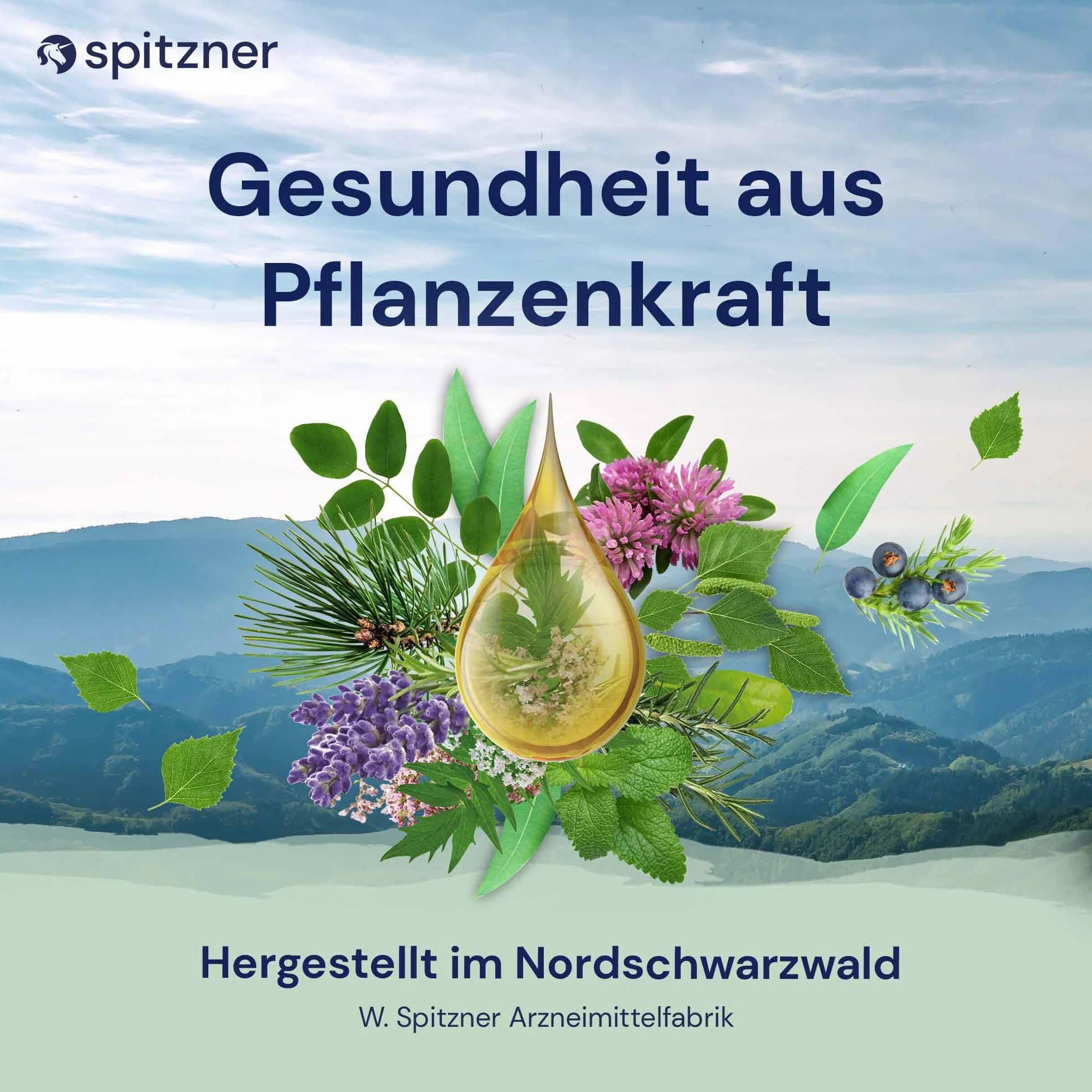 Spitzner Zestaw do zaparzania sauny Vital & Mocny (3 x 190 ml) – sauna, naturalny olejek do sauny o aromatycznym zapachu sauny grejpfruta, jałowca, limonka imbirowa
