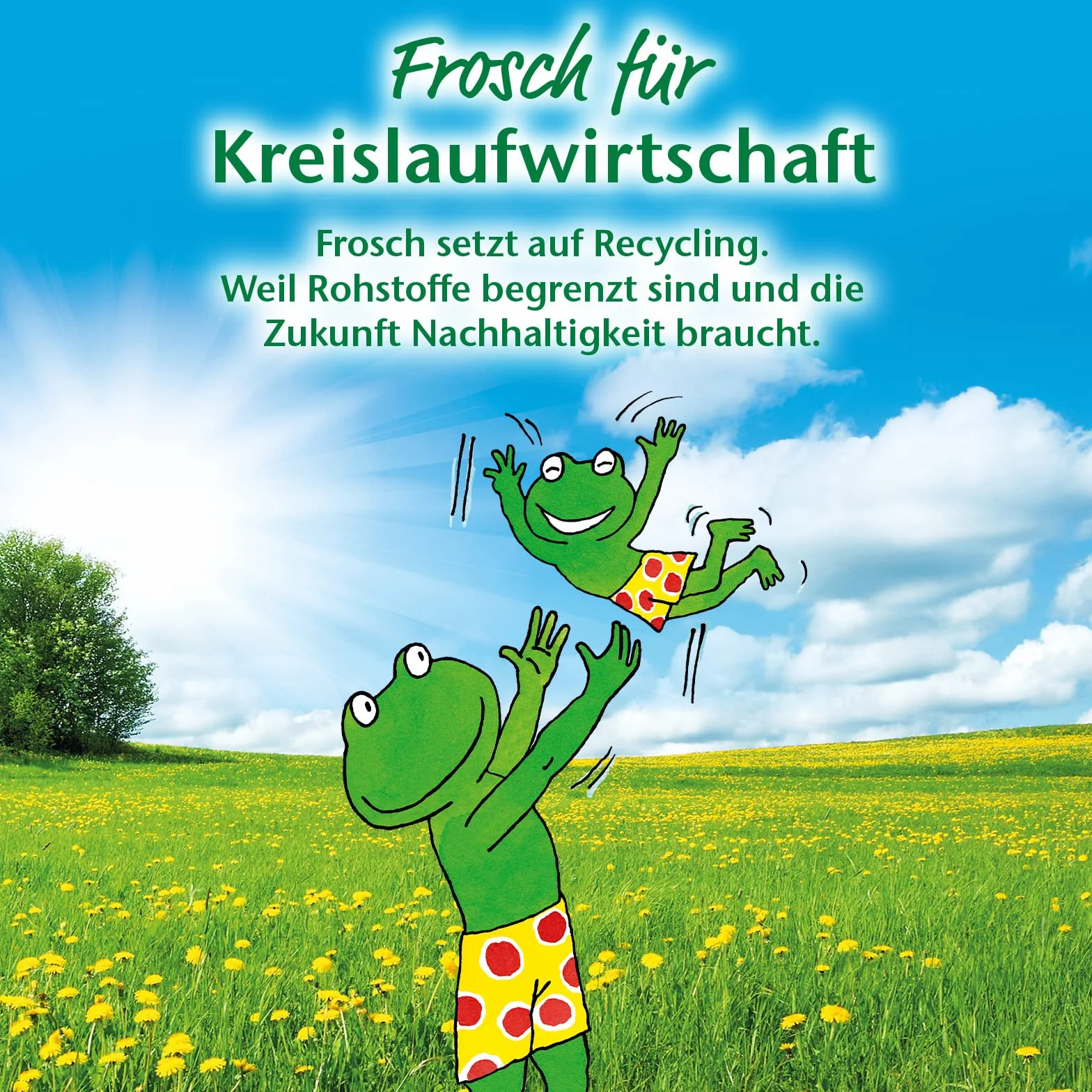 Frosch Citrus Środek do Czyszczenia Łazienki, 950 ml