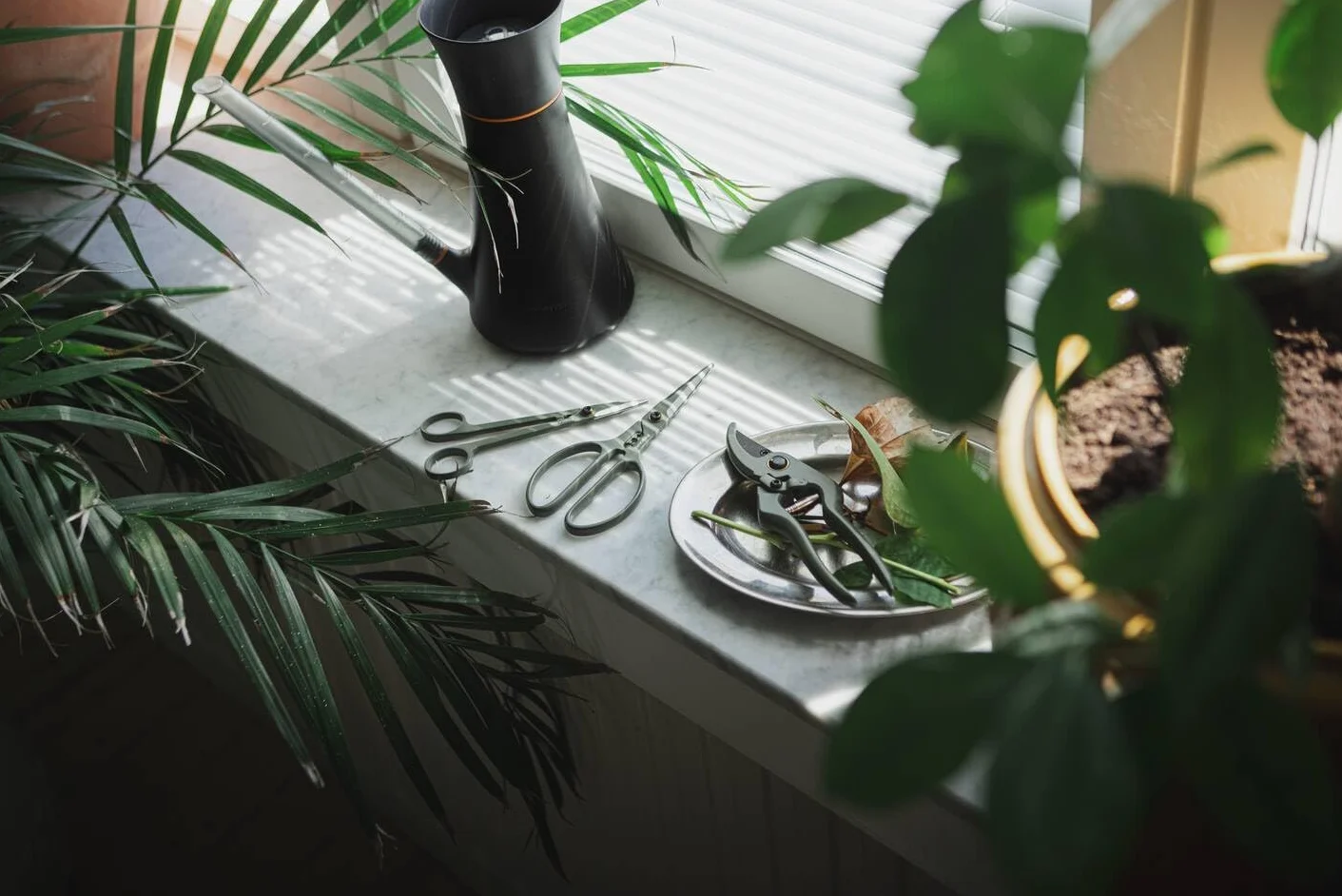 Fiskars Plant Care Zestaw do pielęgnacji roślin 3 szt.