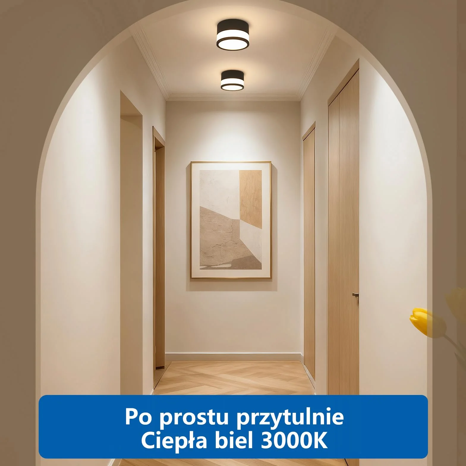 2 szt Reflektor Natynkowy Czarna IP44 Wodoodporna, Do Łazienki, Kuchni, Salonu i Holu, LED Ciepła Biel 3000K, 12W 1100LM, Oświetlenie 230V dla Pomieszczeń Wilgotnych