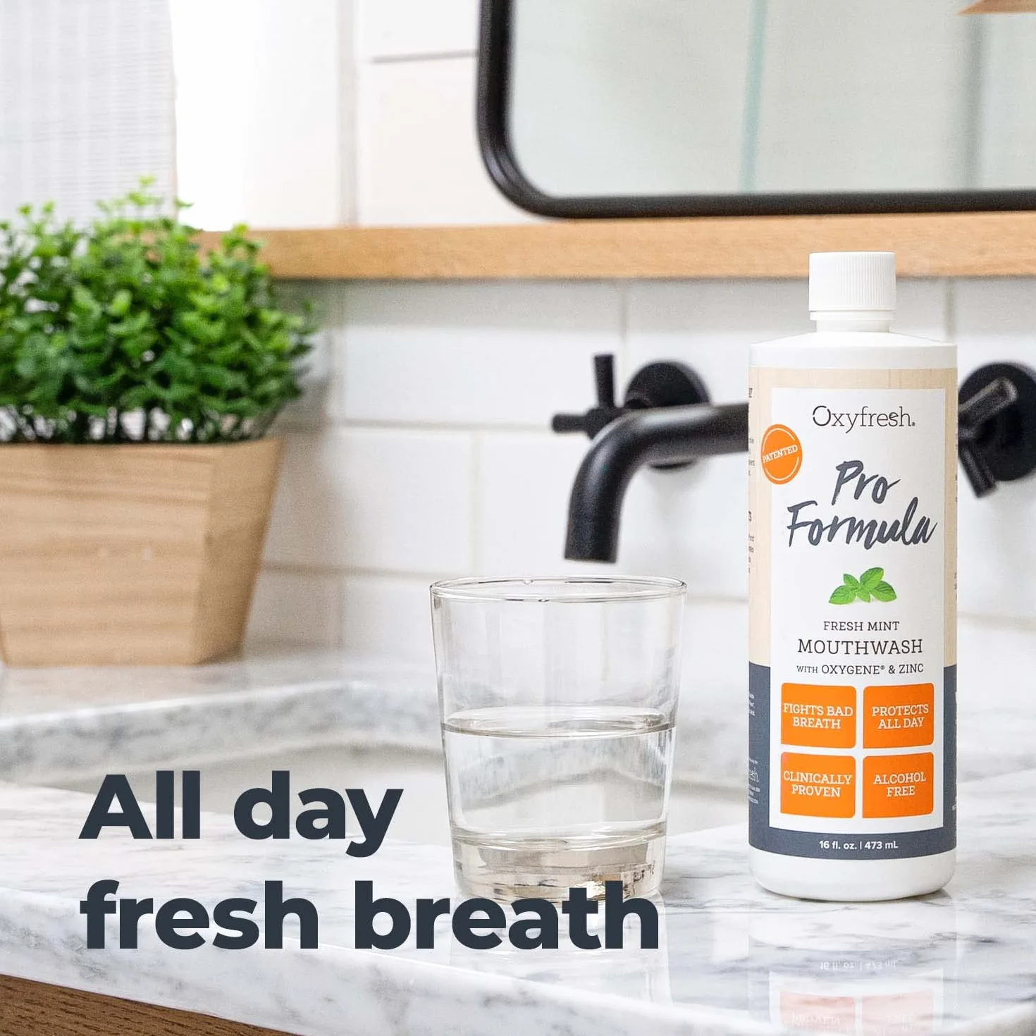 Oxyfresh Zinc Mouthwash: For Long-Lasting Fresh Breath & Healthy Gums. Zalecane Dentist Colors, No Artificial Colors, Alkohol-Free, 16oz. by Oxyfresh