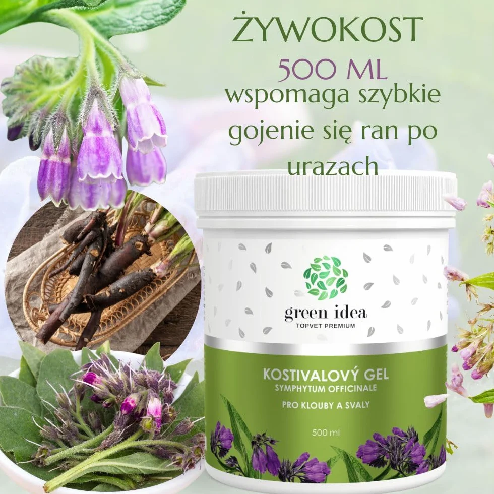 Green idea - Żywokost lekarski żel do masażu - bóle stawów, ścięgien i mięśni - na artretyzm, bóle pleców, kolan i karku - działanie lecznicze - 500 ml