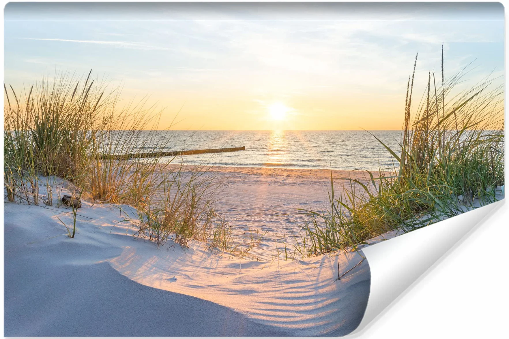 Muralo Fototapeta plaża, morze, wydmy, słońce, niebo, woda, krajobraz, natura, efekt 3D, nowoczesna tapeta ścienna, dekoracja ścienna do salonu, sypialni, jadalni, szer. 312 cm x wys. 219 cm