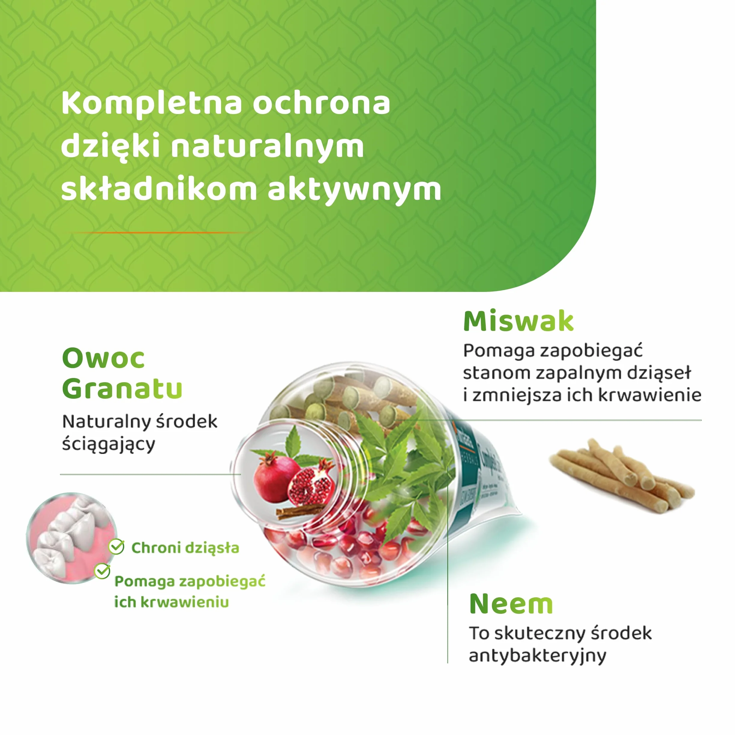 Himalaya Herbals Complete Care Herbal Gum Expert Toothpaste 75ml e - 100% Vegetarian & Free from Parabens