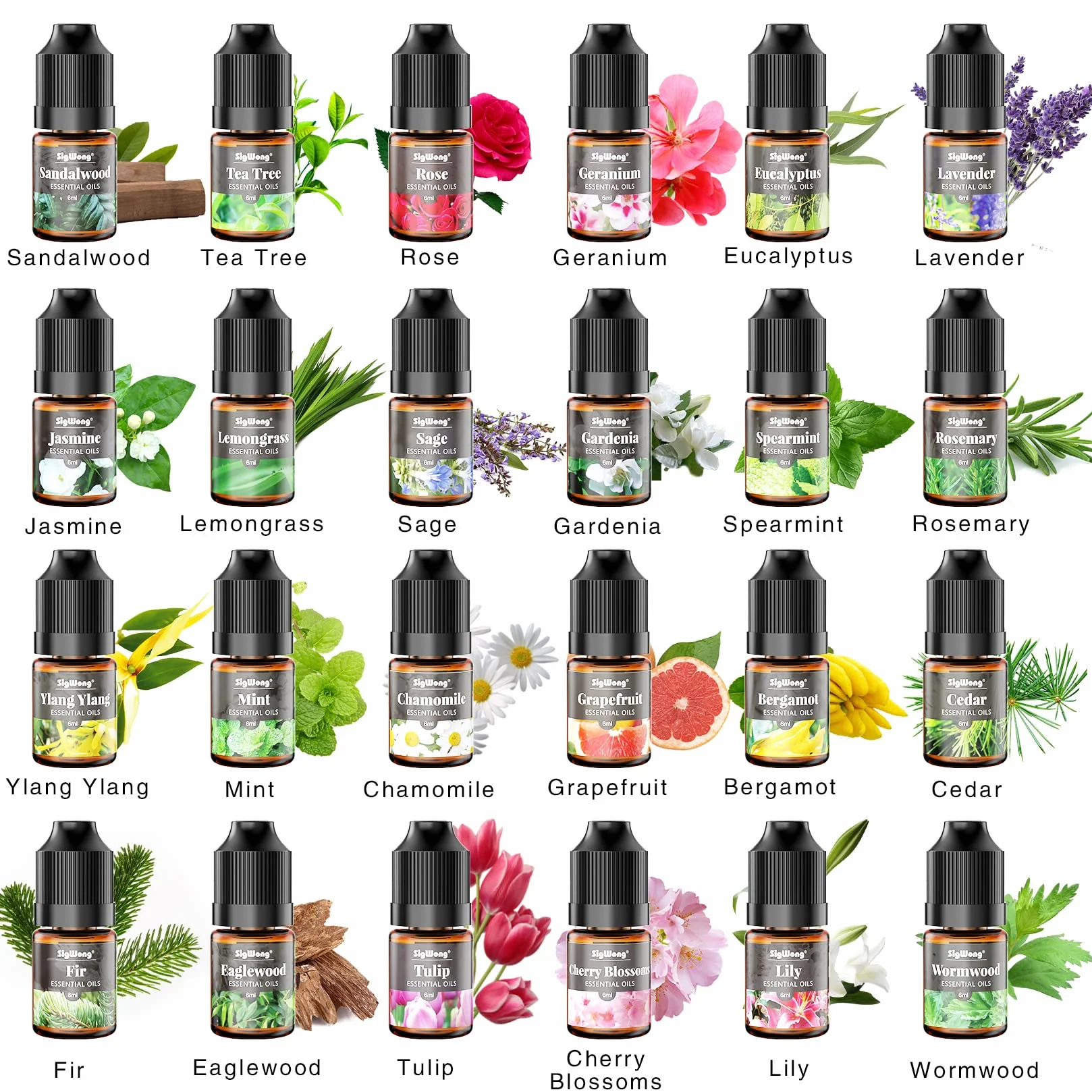 Zestaw 24 czystych naturalnych olejków eterycznych 6 ml do aromaterapii masażu dyfuzorów