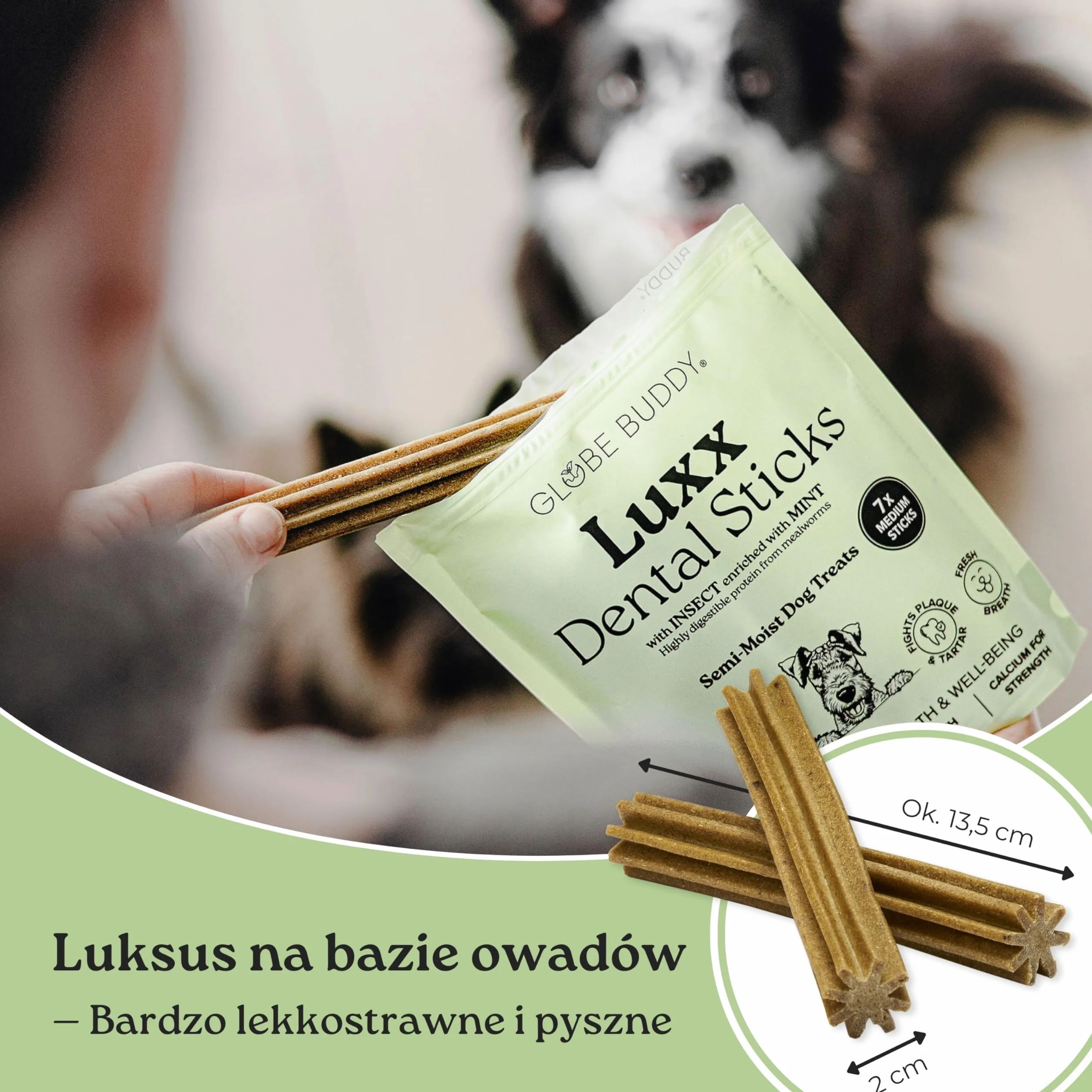 Luxx Dentystyczne Przysmaki dla Psów – Bezzbożowe Gryzaki z Białkiem z Owadów, Miętą & SHMP – Ogranicza Płytkę i Kamień – 7 Super Premium Smakołyków (250g)