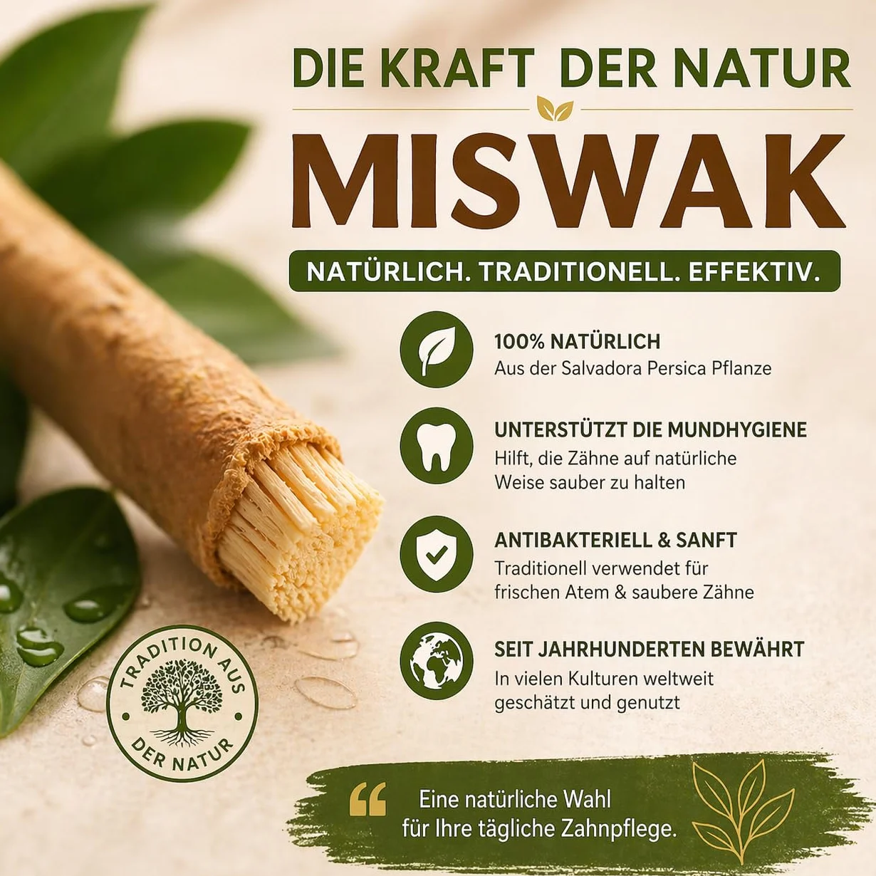 Miswak szczoteczka do zębów, 10 sztuk, tradycyjna szczoteczka do zębów, 100% naturalna szczoteczka do zębów Siwak, korzeń Miswak, czyszczenie i rozjaśnianie, przyjazna dla środowiska i