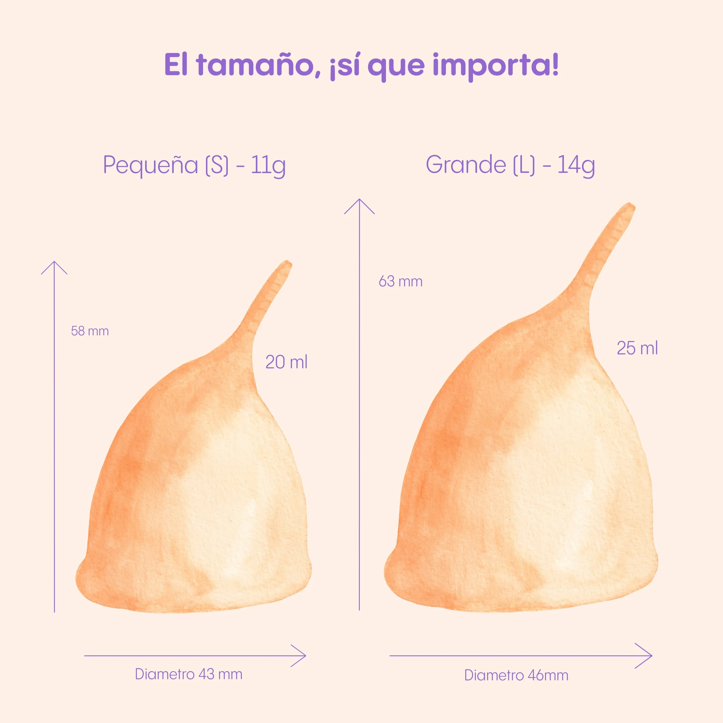 Bardziej wygodny, bardziej elastyczny anatomiczny kubek menstruacyjny dla kobiet z wrażliwością pochwy - wielokrotnego użytku ze składanym sterylizatorem do mikrofalówki (S+L ze
