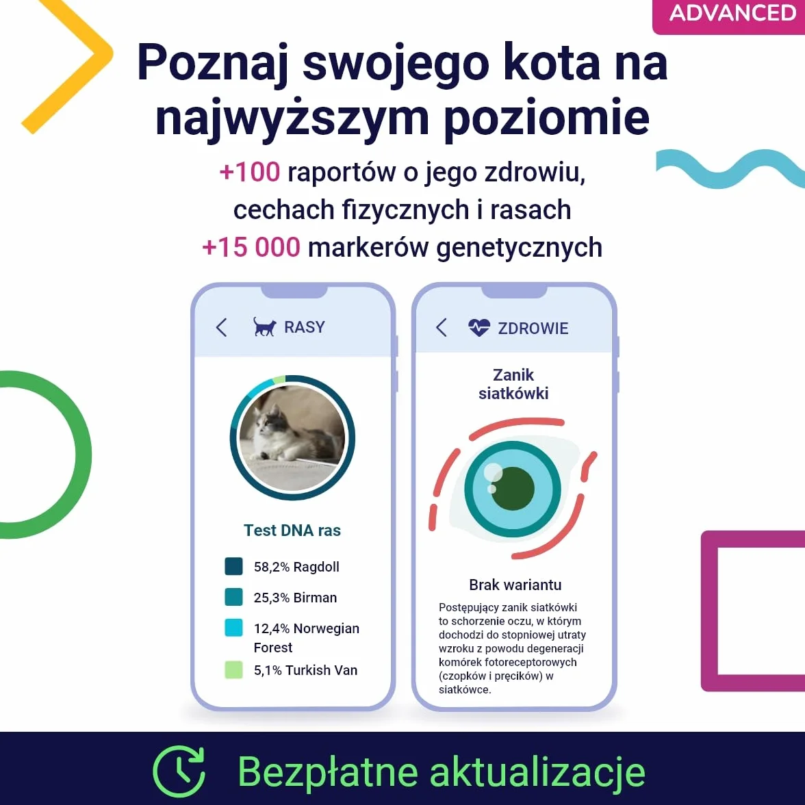 Koko Genetics Test DNA dla Kotów Advanced - (+150 Raporty Ras, Zdrowotne i Cech) - Aktualizacje bez dodatkowych kosztów