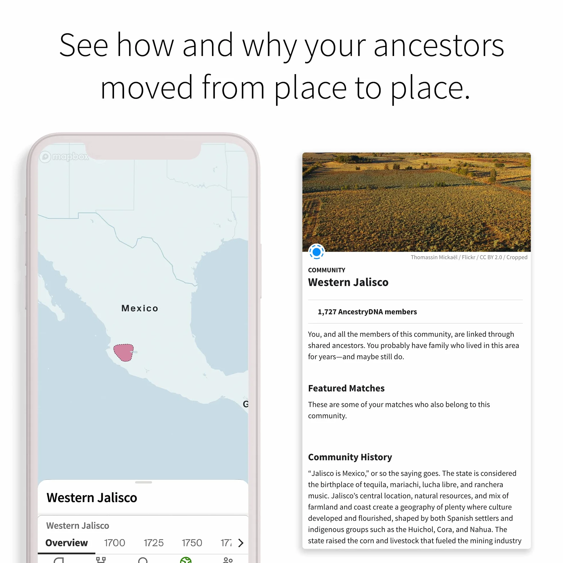 AncestryDNA: Genetyczny test etniczny, estymator pochodzenia etnicznego, zestaw testów AncestryDNA