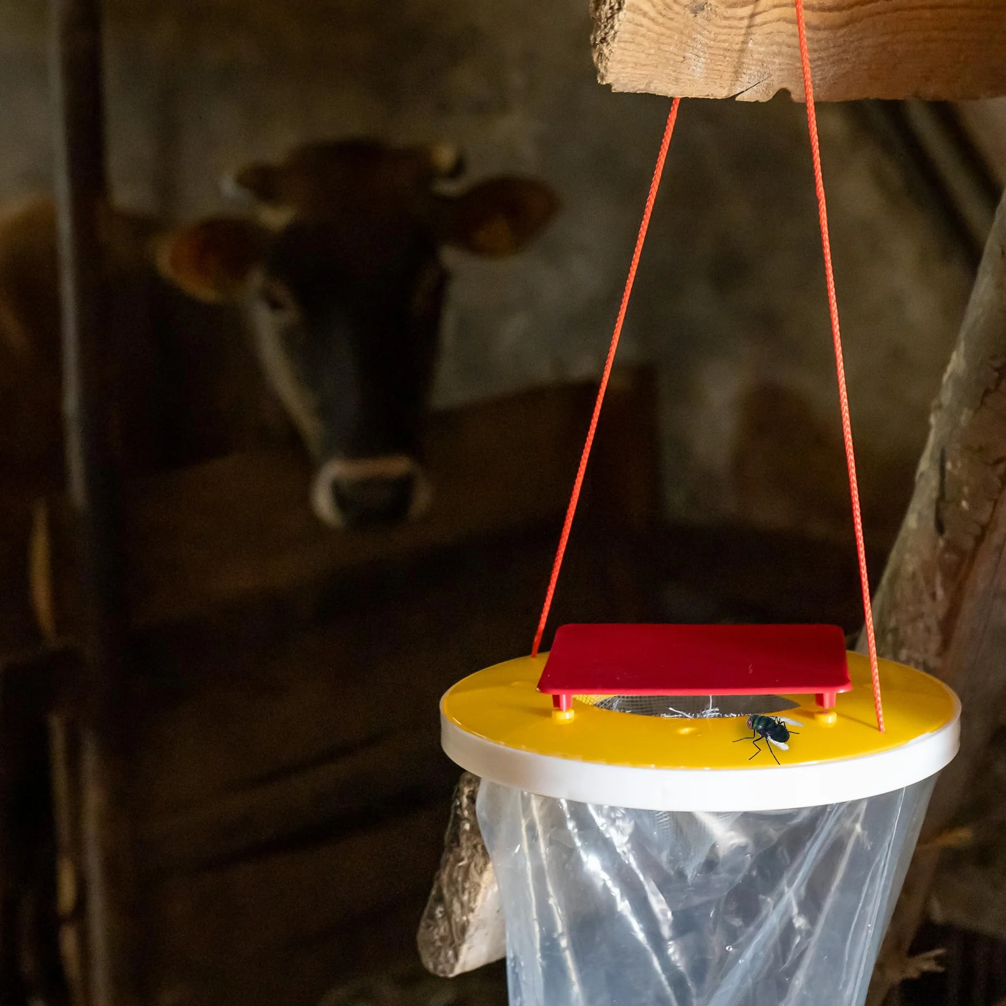 Pułapka na Muchy Końskie XXL Wisząca Wabik na Owady do Stajni Obory Garażu